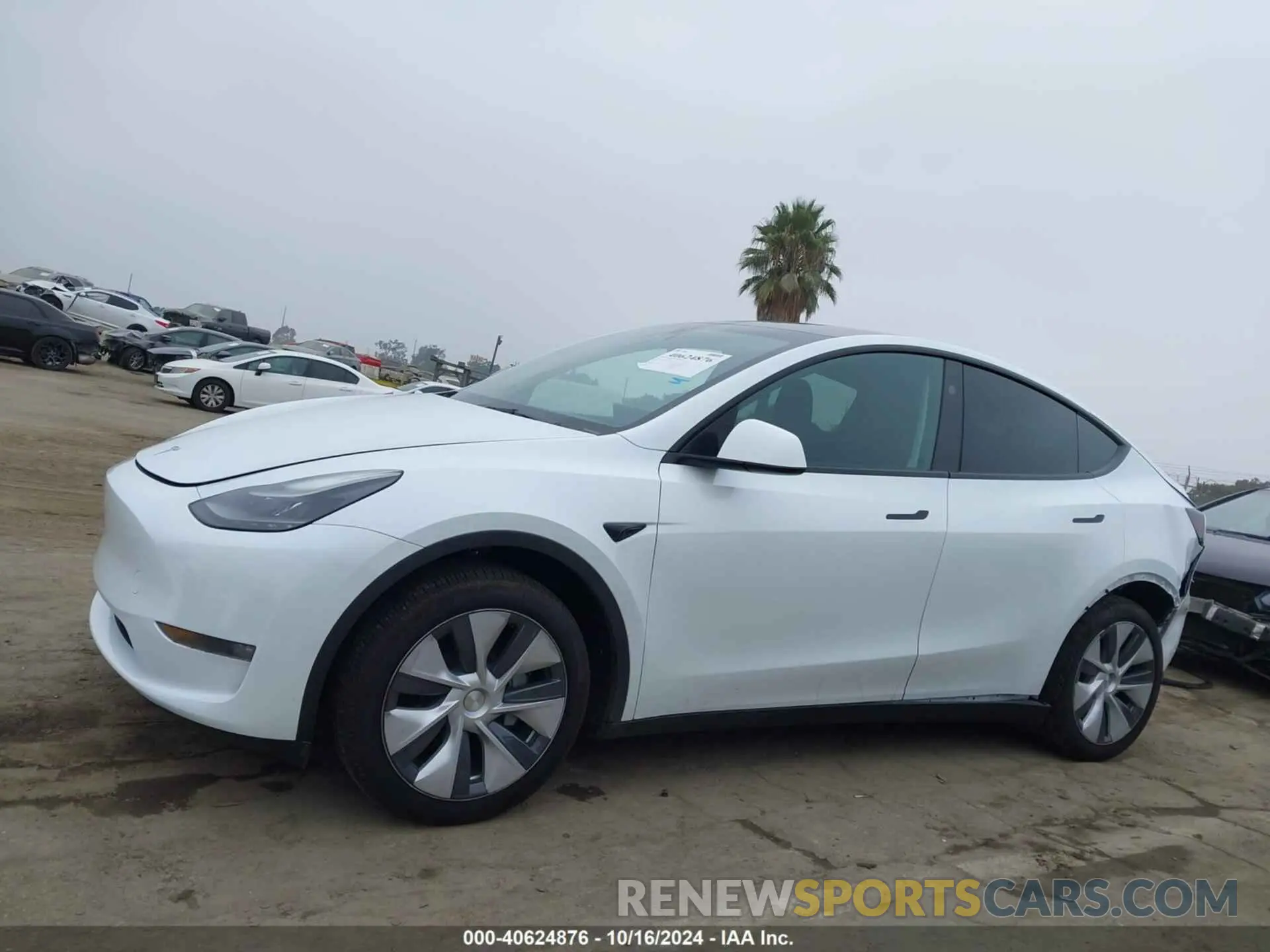 14 fotografías del automóvil dañado 7SAYGDEE9RA260003 TESLA MODEL Y 2024