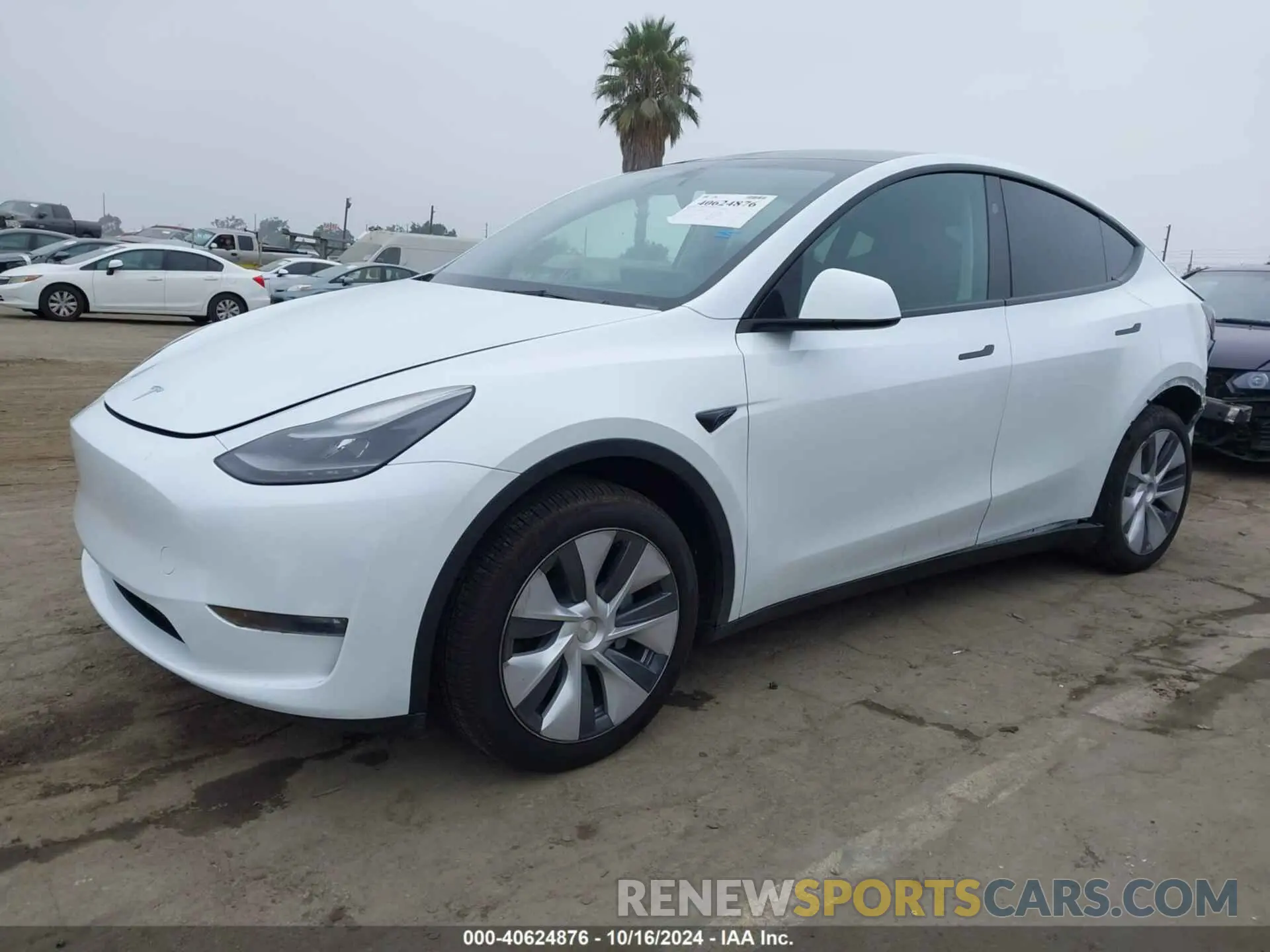 2 fotografías del automóvil dañado 7SAYGDEE9RA260003 TESLA MODEL Y 2024