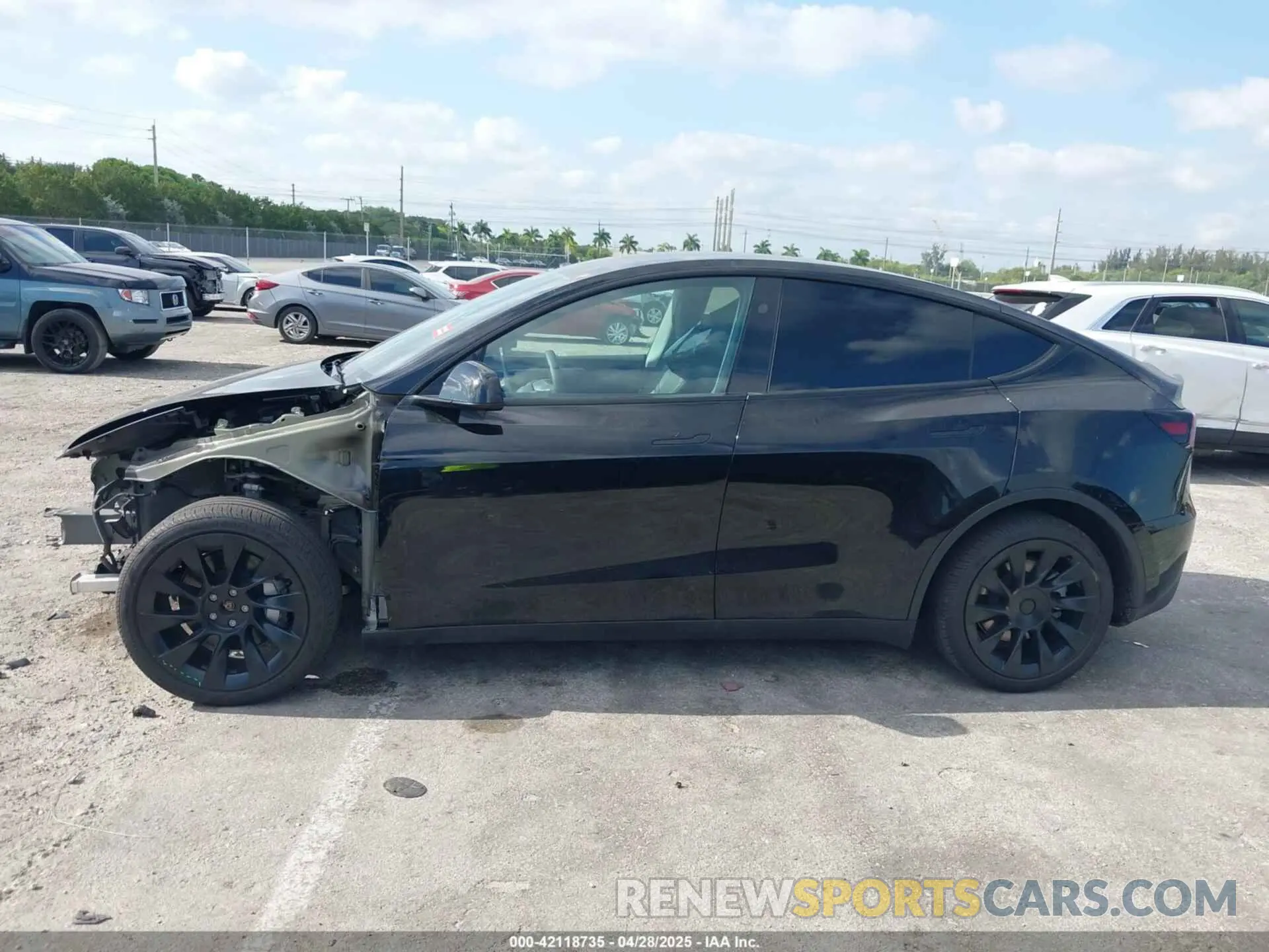 15 fotografías del automóvil dañado 7SAYGDEE9RA293261 TESLA MODEL Y 2024
