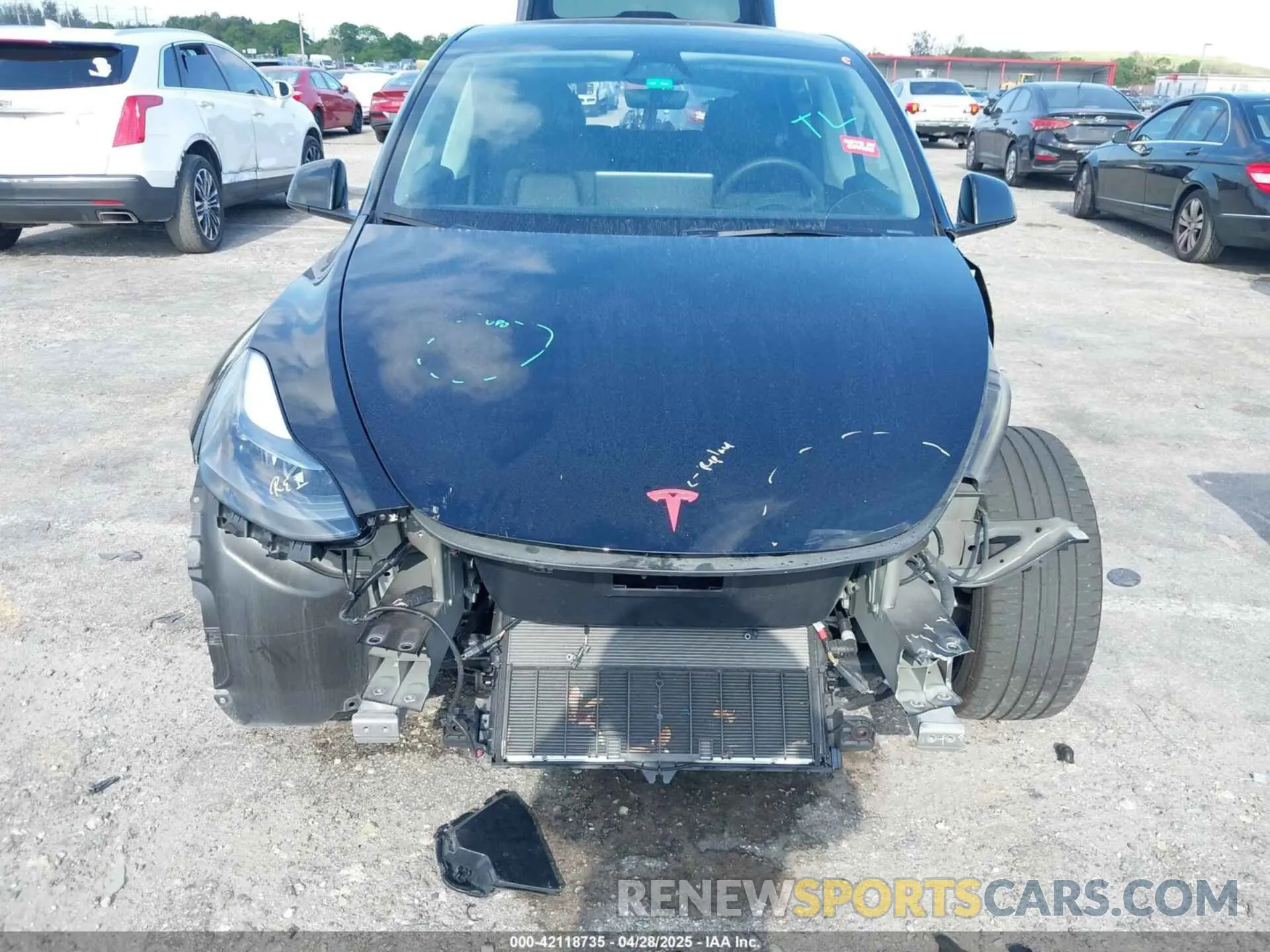 6 fotografías del automóvil dañado 7SAYGDEE9RA293261 TESLA MODEL Y 2024