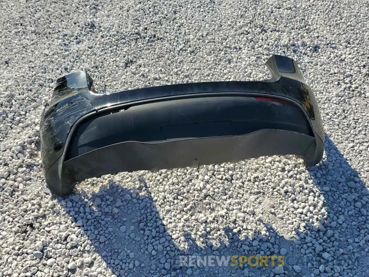 12 fotografías del automóvil dañado 7SAYGDEE9RA303397 TESLA MODEL Y 2024