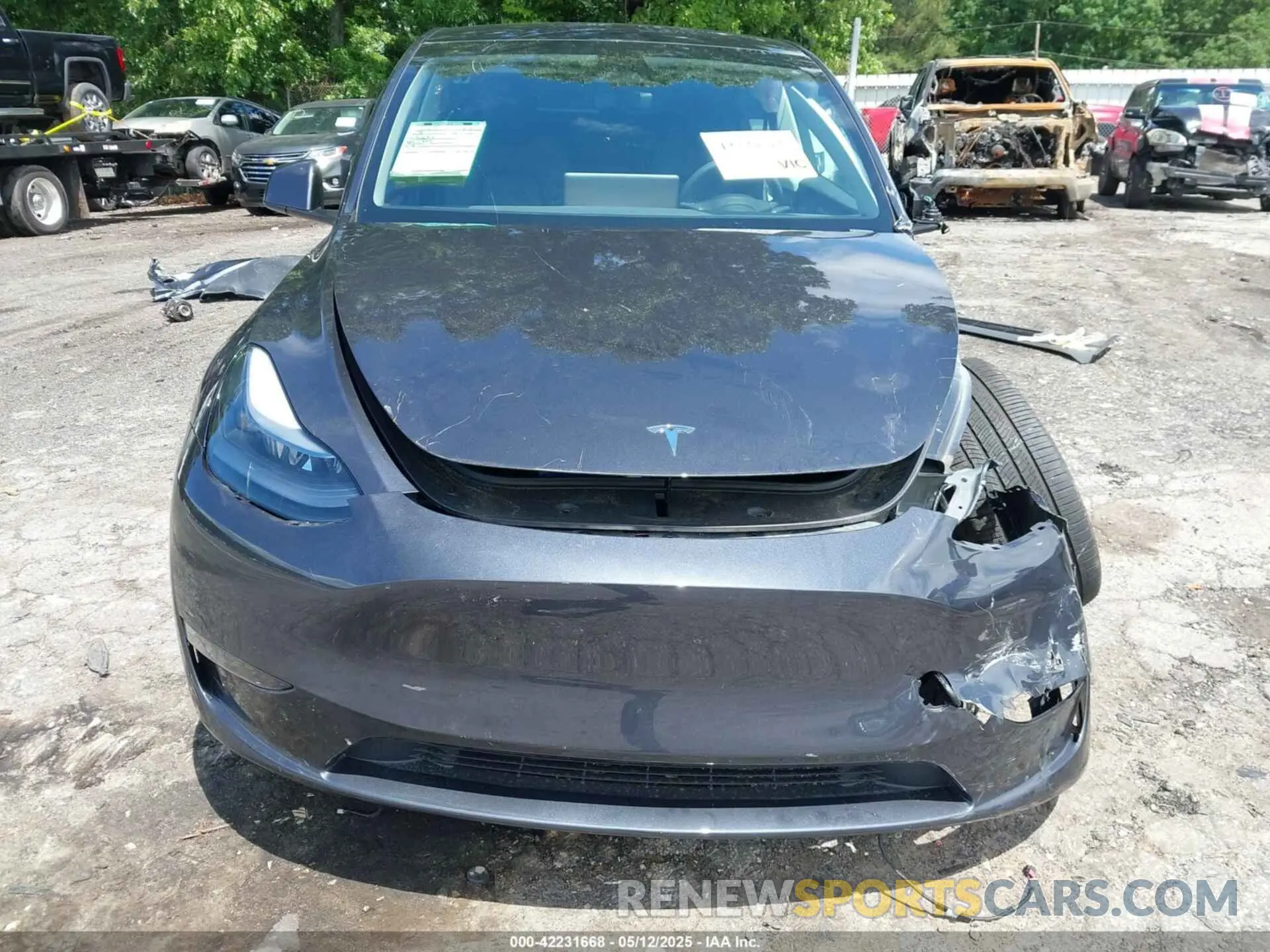 11 fotografías del automóvil dañado 7SAYGDEE9RA306574 TESLA MODEL Y 2024