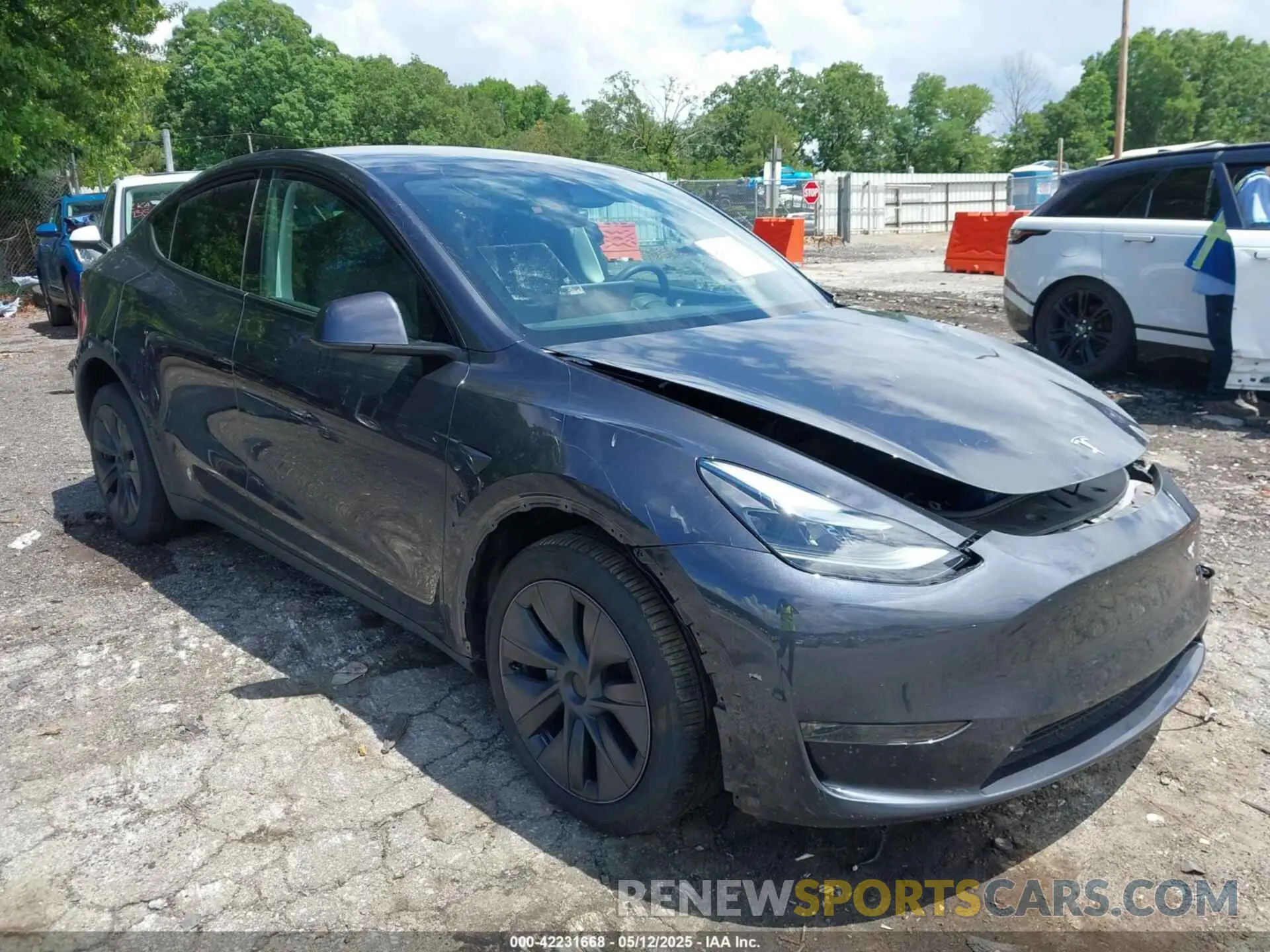 12 fotografías del automóvil dañado 7SAYGDEE9RA306574 TESLA MODEL Y 2024