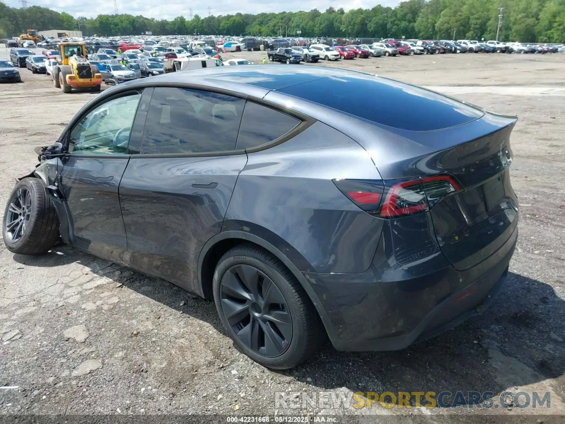 13 fotografías del automóvil dañado 7SAYGDEE9RA306574 TESLA MODEL Y 2024