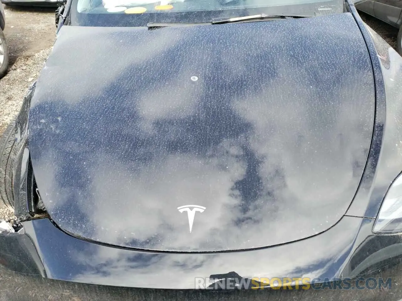 11 fotografías del automóvil dañado 7SAYGDEE9RF183281 TESLA MODEL Y 2024