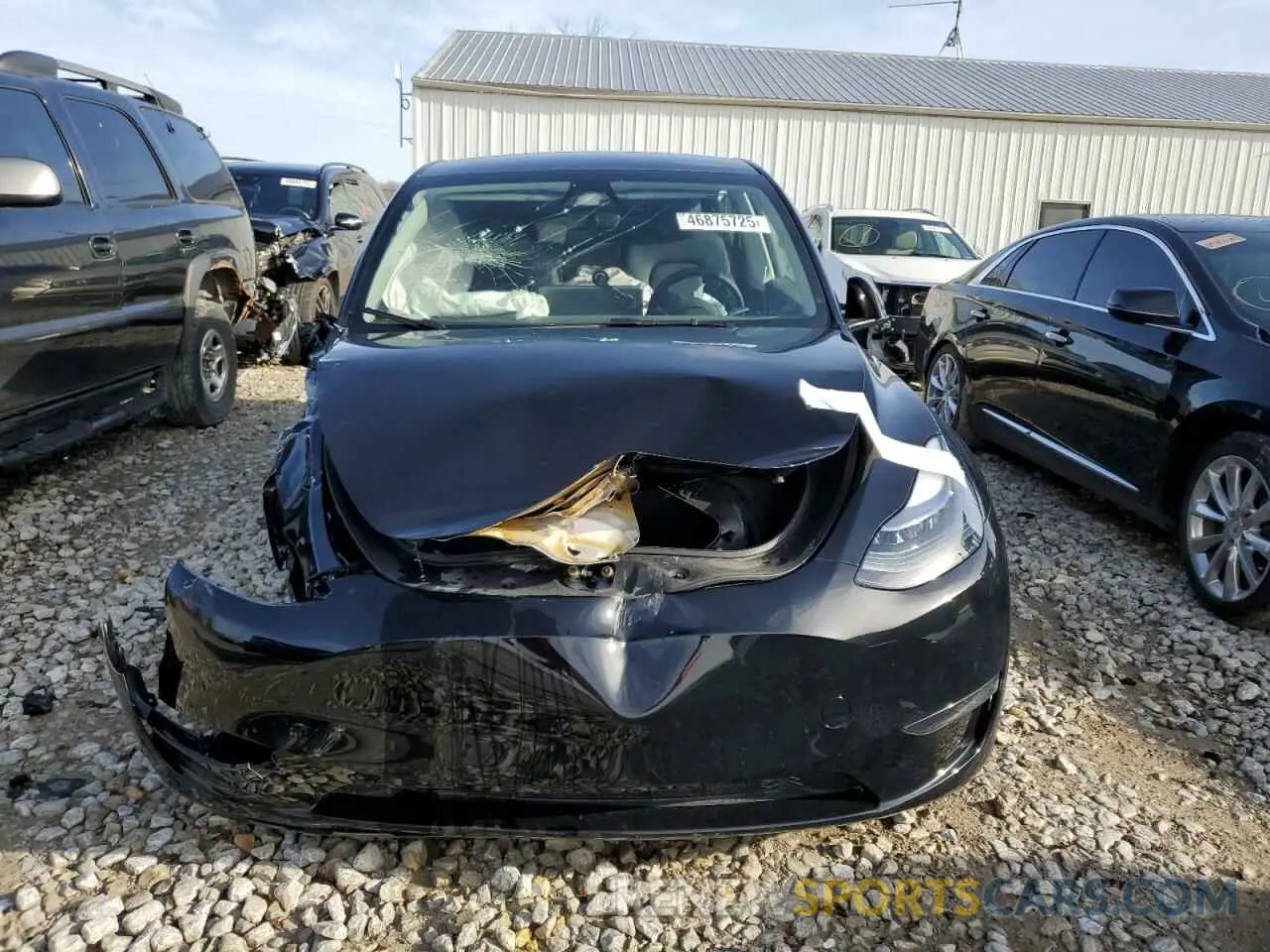 5 fotografías del automóvil dañado 7SAYGDEE9RF183281 TESLA MODEL Y 2024