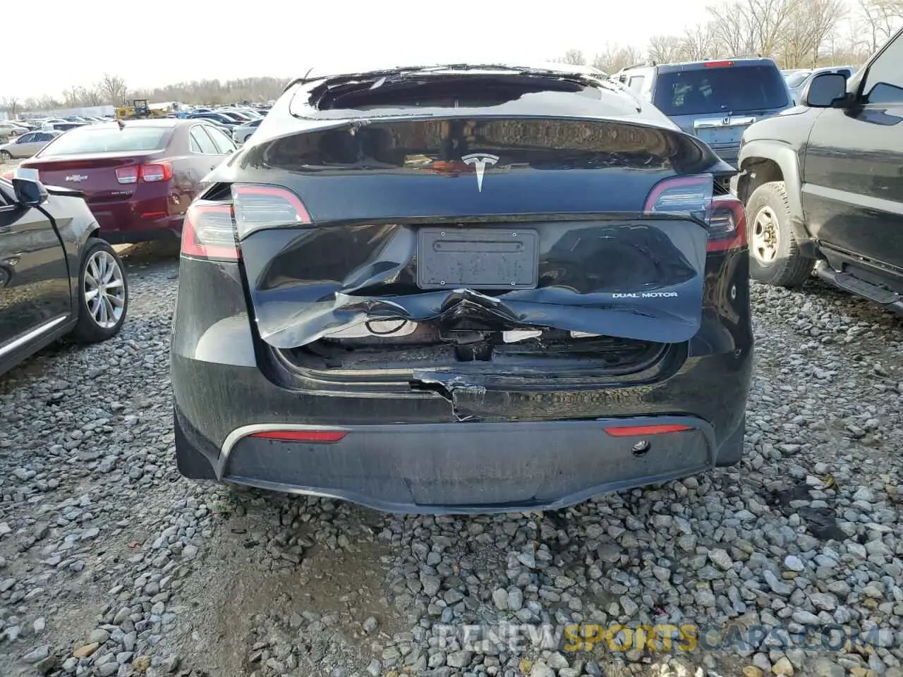 6 fotografías del automóvil dañado 7SAYGDEE9RF183281 TESLA MODEL Y 2024