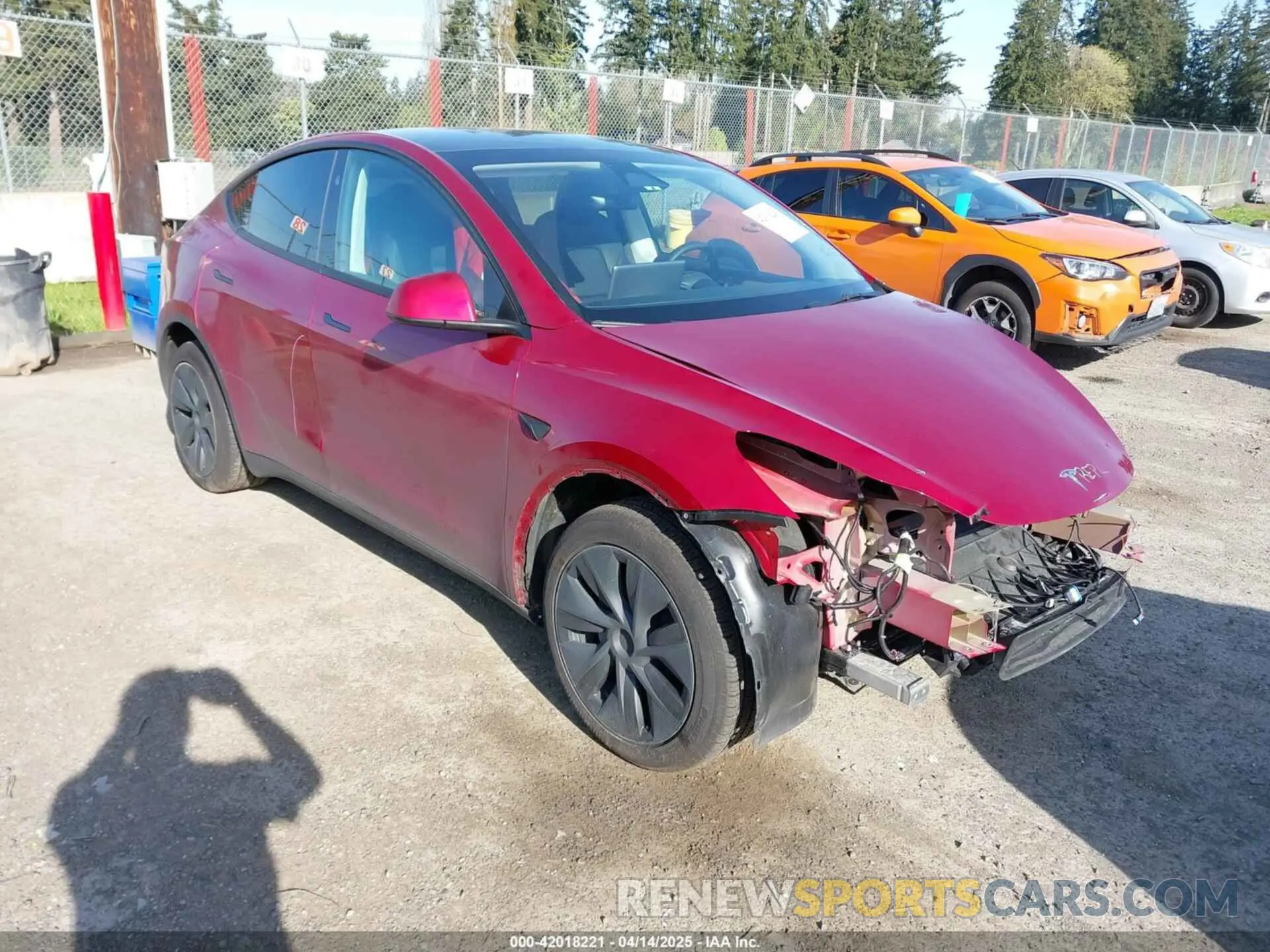 1 fotografías del automóvil dañado 7SAYGDEE9RF199805 TESLA MODEL Y 2024