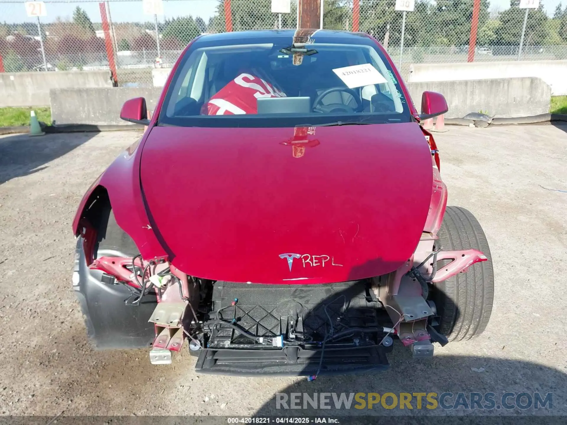 13 fotografías del automóvil dañado 7SAYGDEE9RF199805 TESLA MODEL Y 2024