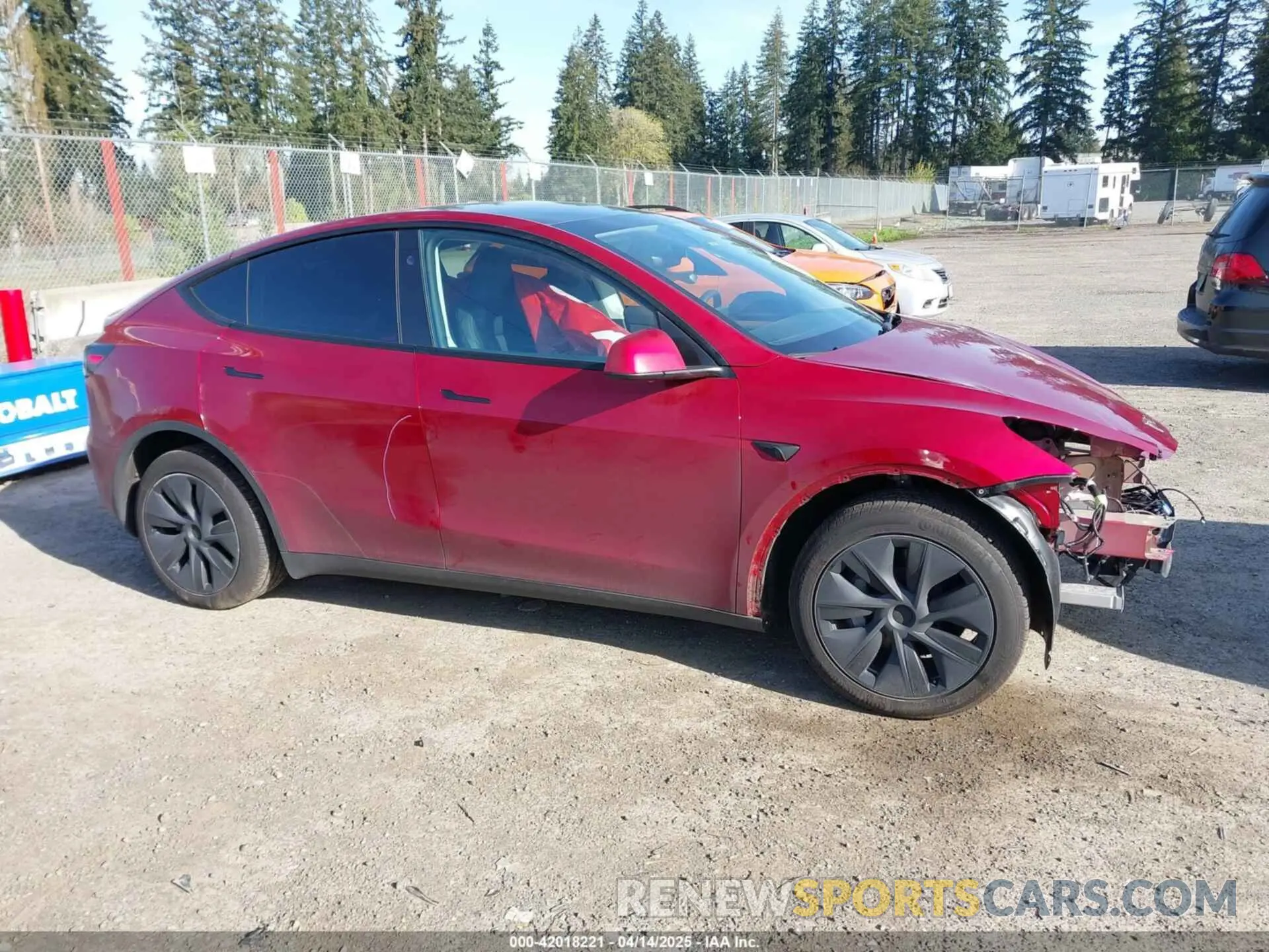 14 fotografías del automóvil dañado 7SAYGDEE9RF199805 TESLA MODEL Y 2024