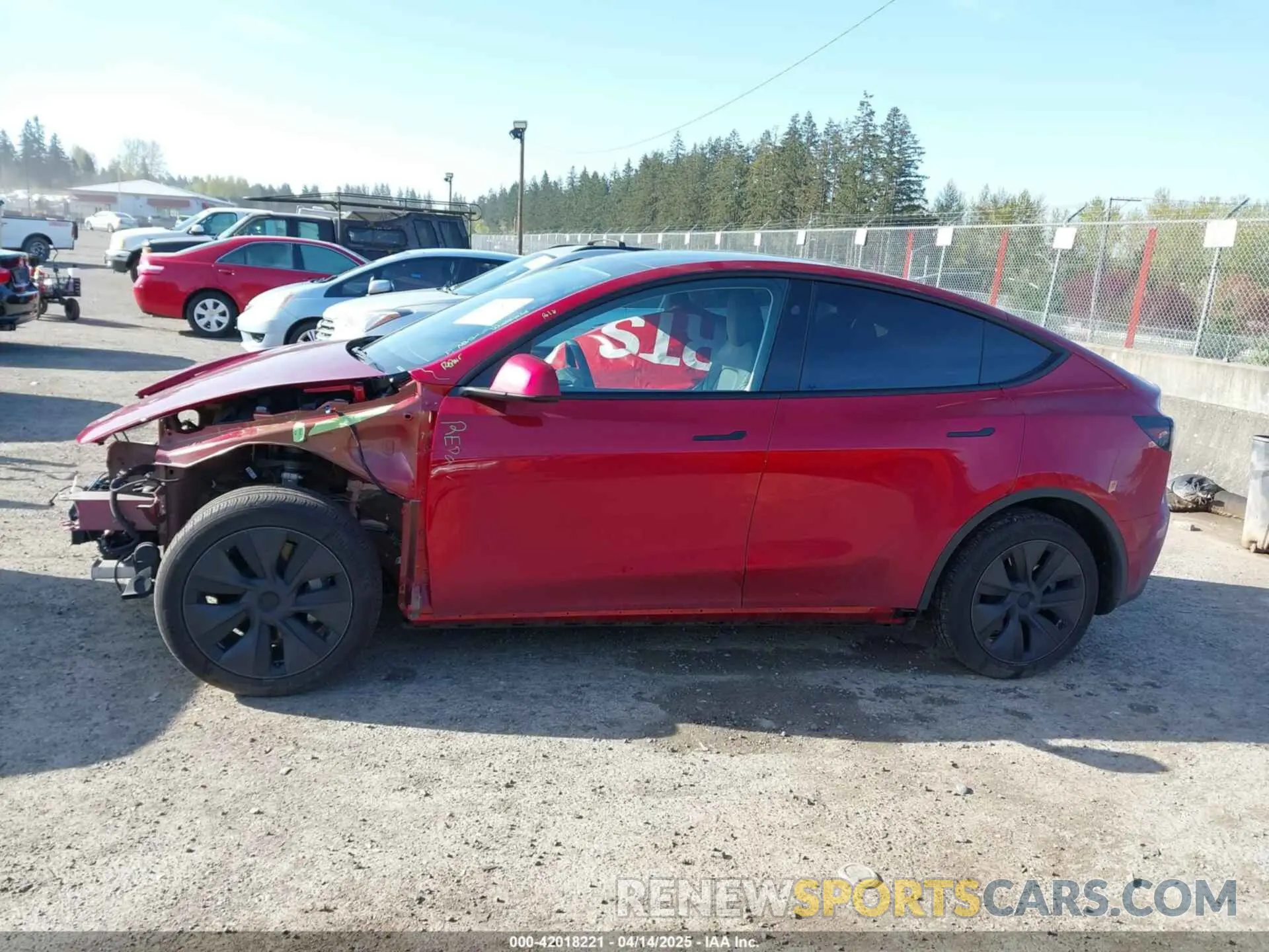 15 fotografías del automóvil dañado 7SAYGDEE9RF199805 TESLA MODEL Y 2024