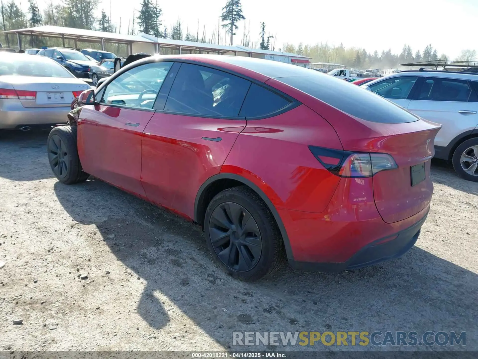 3 fotografías del automóvil dañado 7SAYGDEE9RF199805 TESLA MODEL Y 2024