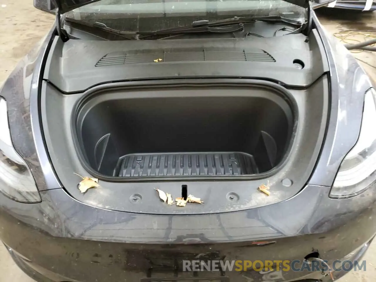 12 fotografías del automóvil dañado 7SAYGDEEXRA246644 TESLA MODEL Y 2024