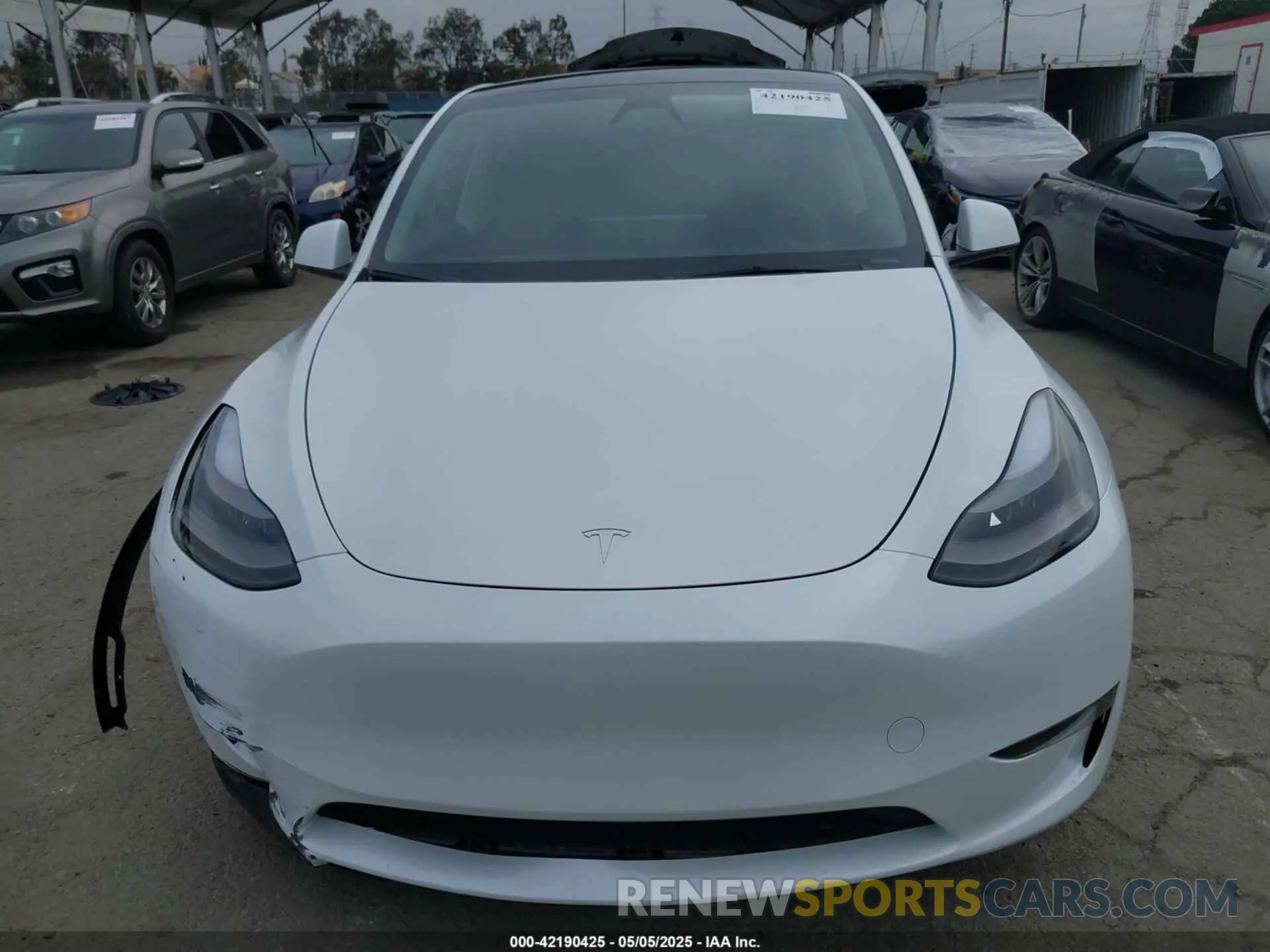 12 fotografías del automóvil dañado 7SAYGDEEXRF059620 TESLA MODEL Y 2024
