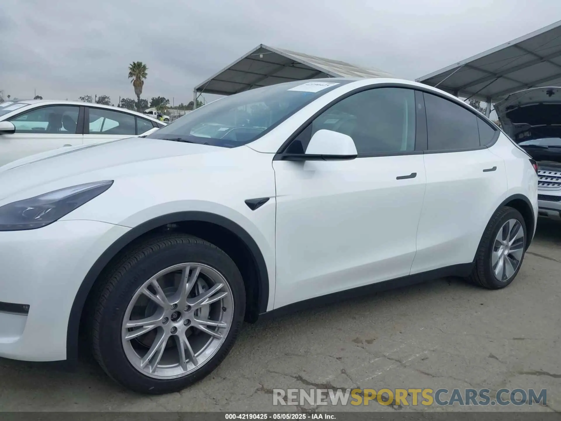 14 fotografías del automóvil dañado 7SAYGDEEXRF059620 TESLA MODEL Y 2024