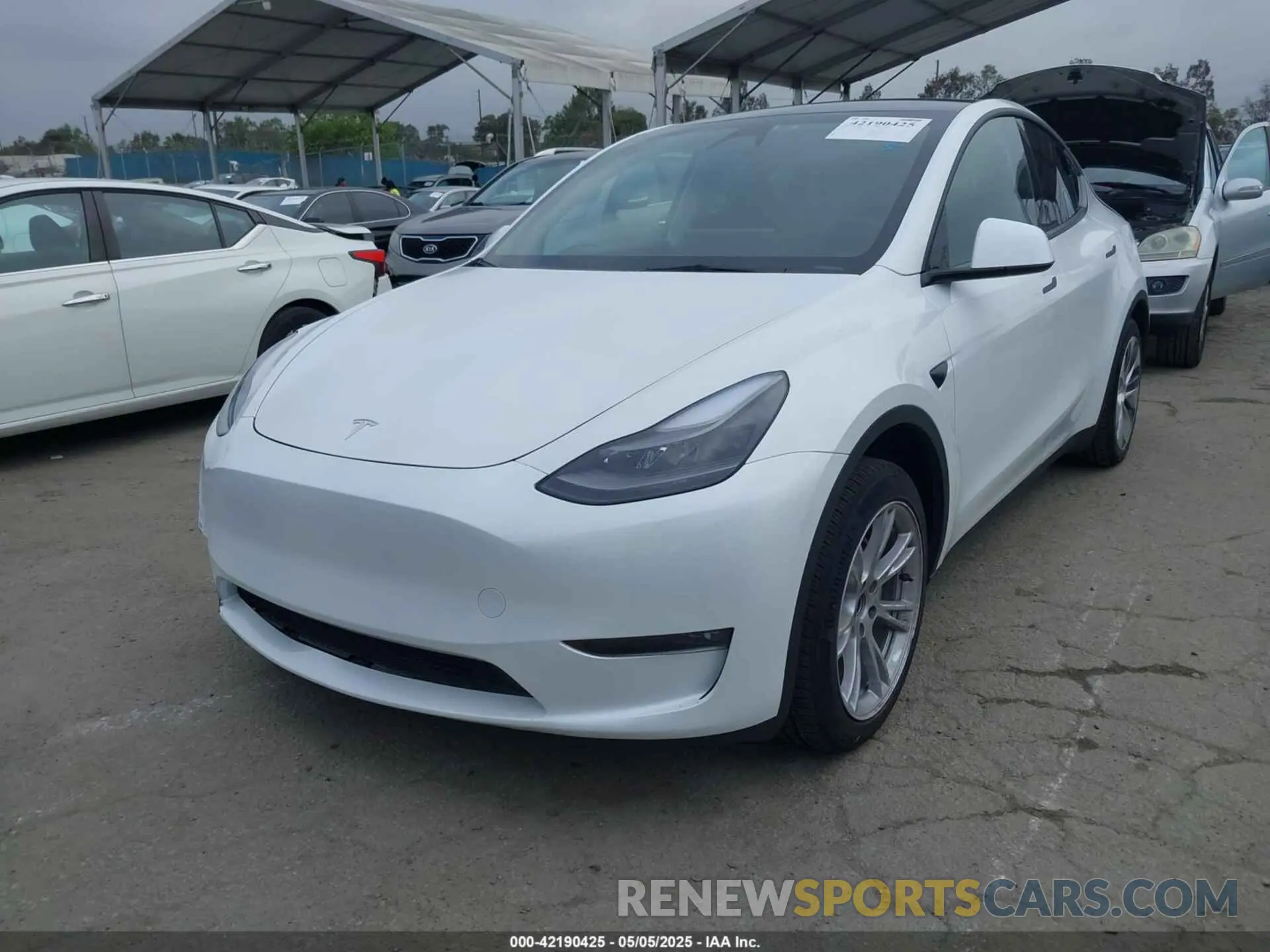 2 fotografías del automóvil dañado 7SAYGDEEXRF059620 TESLA MODEL Y 2024