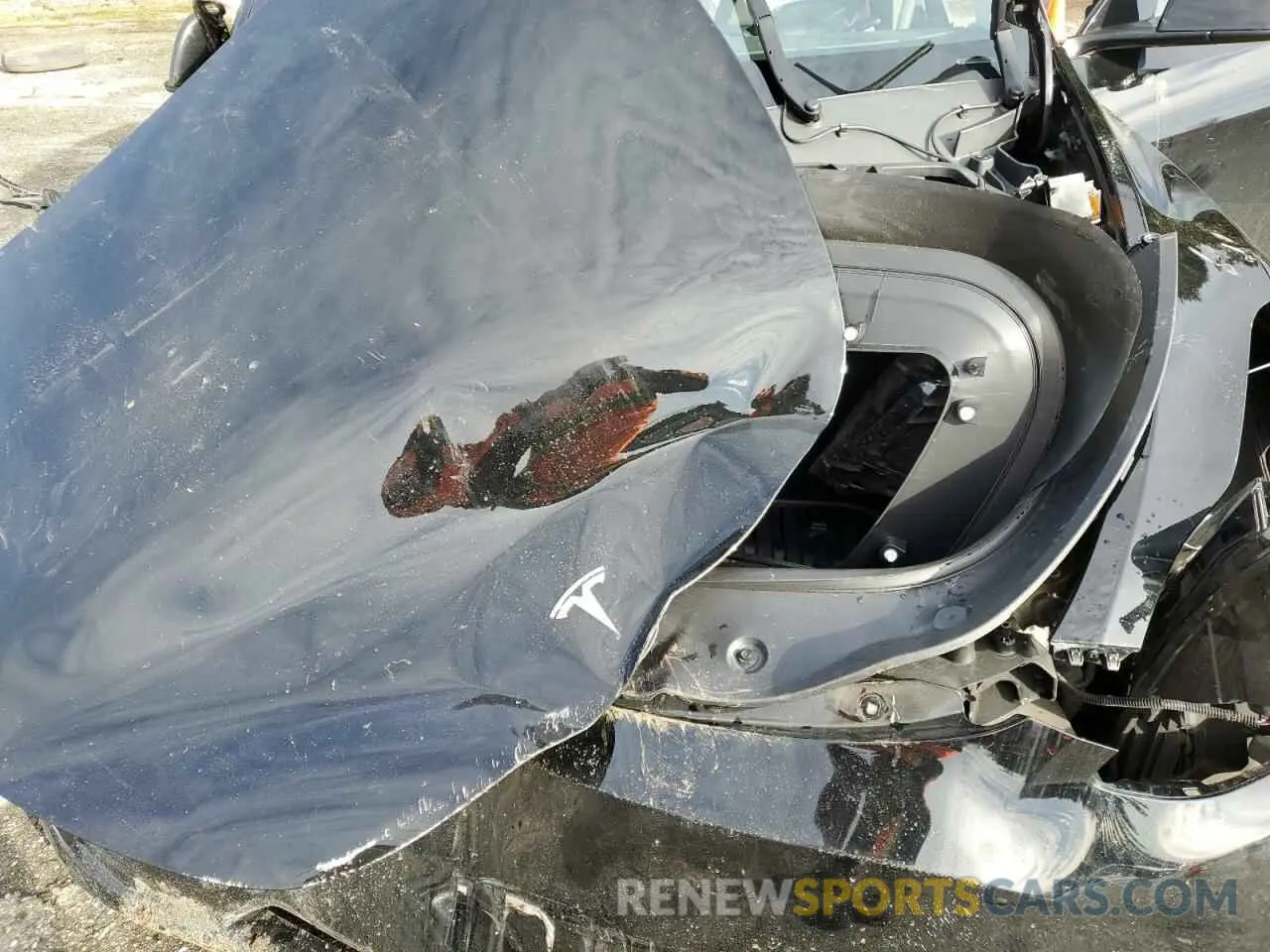 13 fotografías del automóvil dañado 7SAYGDEEXRF119119 TESLA MODEL Y 2024