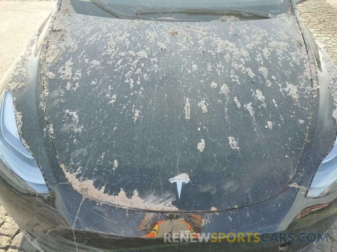 12 fotografías del automóvil dañado 7SAYGDEEXRF123848 TESLA MODEL Y 2024