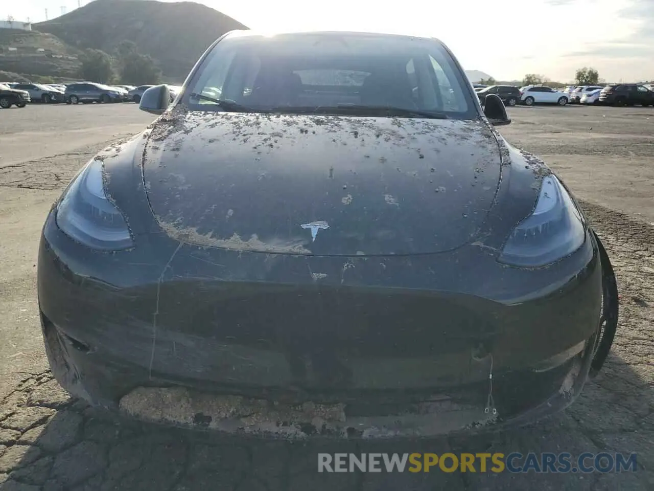 5 fotografías del automóvil dañado 7SAYGDEEXRF123848 TESLA MODEL Y 2024