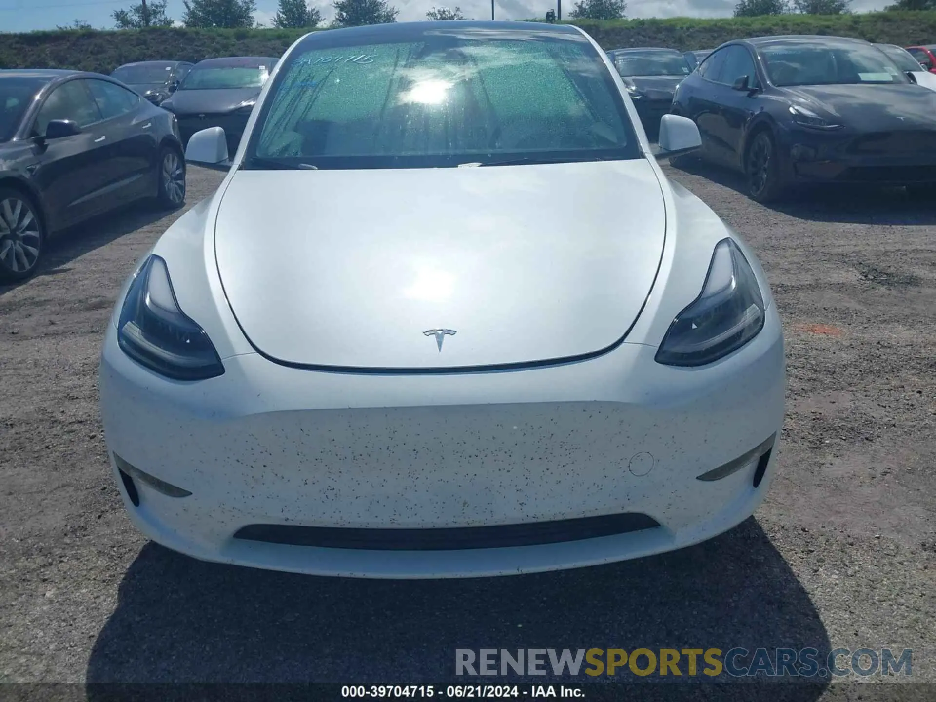 6 fotografías del automóvil dañado 7SAYGDEF2RA268971 TESLA MODEL Y 2024