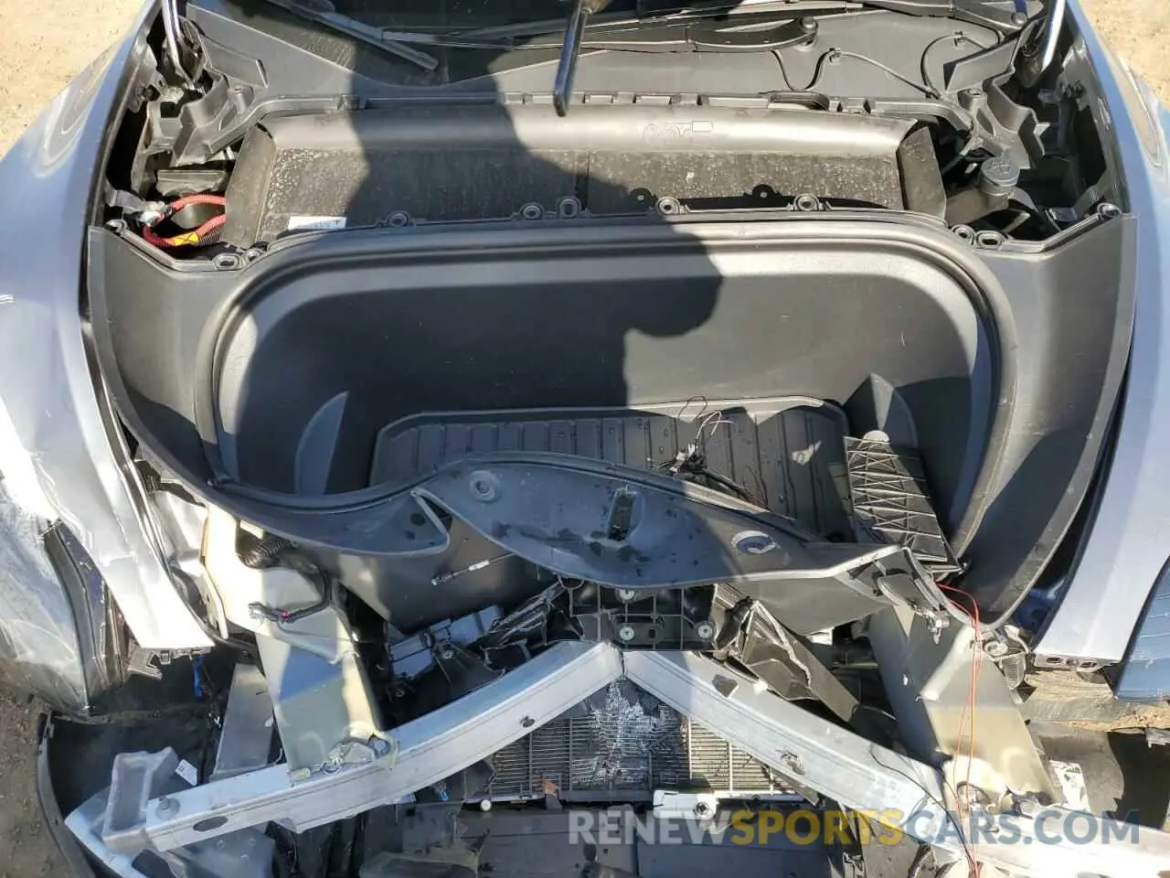 14 fotografías del automóvil dañado 7SAYGDEF2RF113873 TESLA MODEL Y 2024