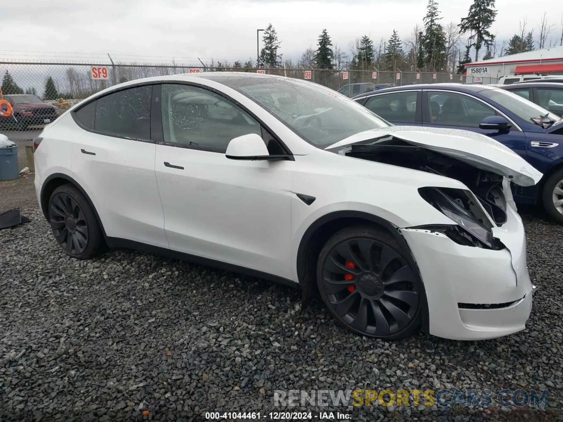 13 fotografías del automóvil dañado 7SAYGDEF3RF195077 TESLA MODEL Y 2024