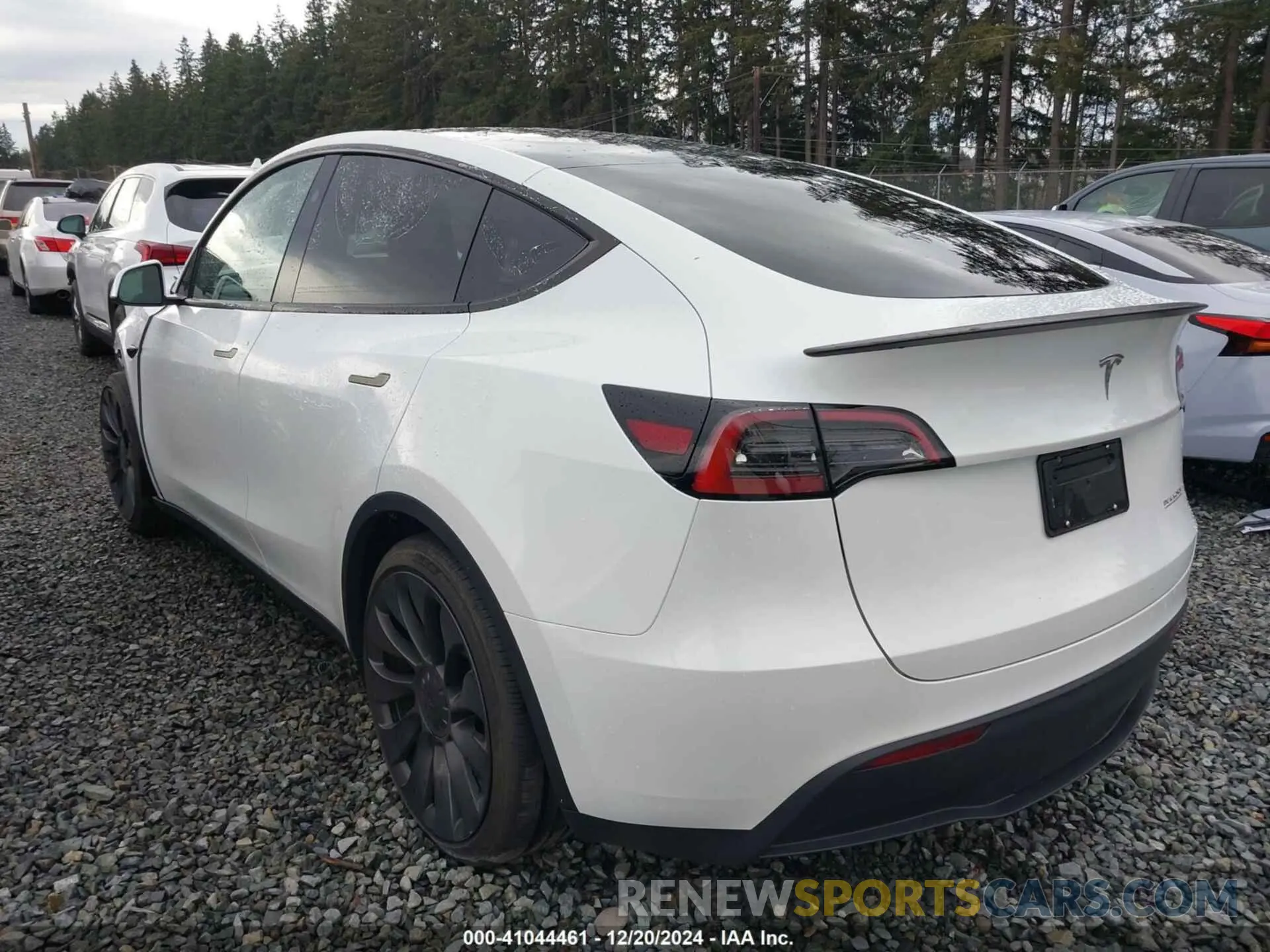 3 fotografías del automóvil dañado 7SAYGDEF3RF195077 TESLA MODEL Y 2024
