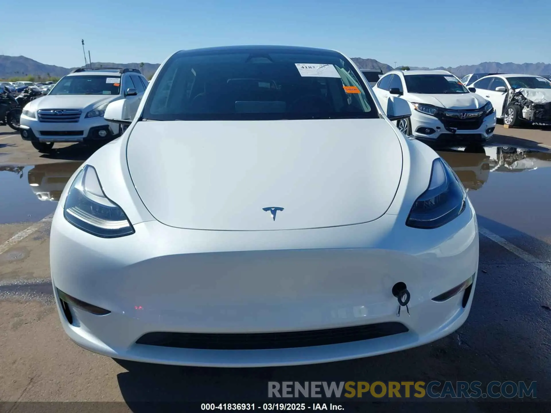 12 fotografías del automóvil dañado 7SAYGDEF4RF053711 TESLA MODEL Y 2024