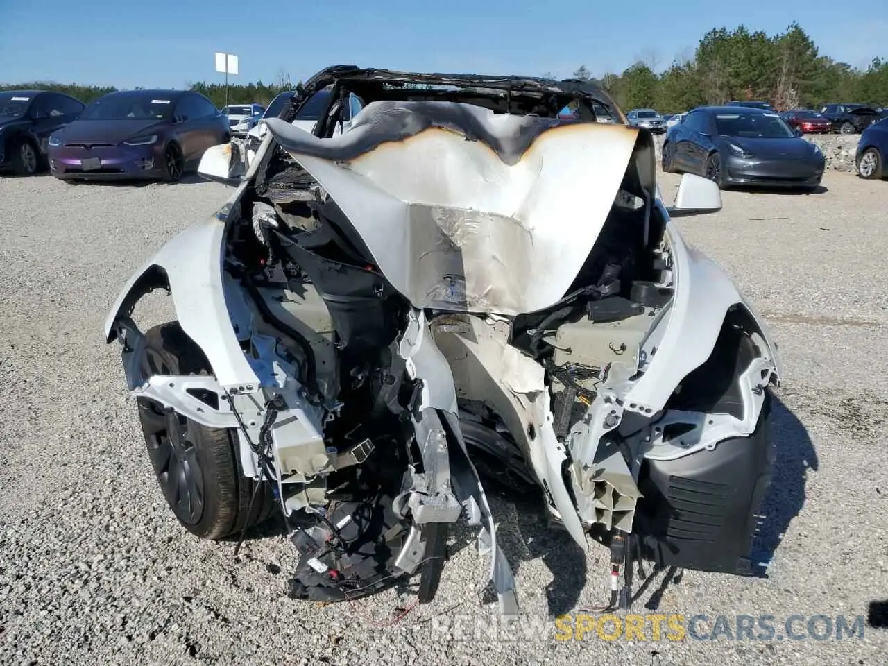 5 fotografías del automóvil dañado 7SAYGDEF5RF183755 TESLA MODEL Y 2024
