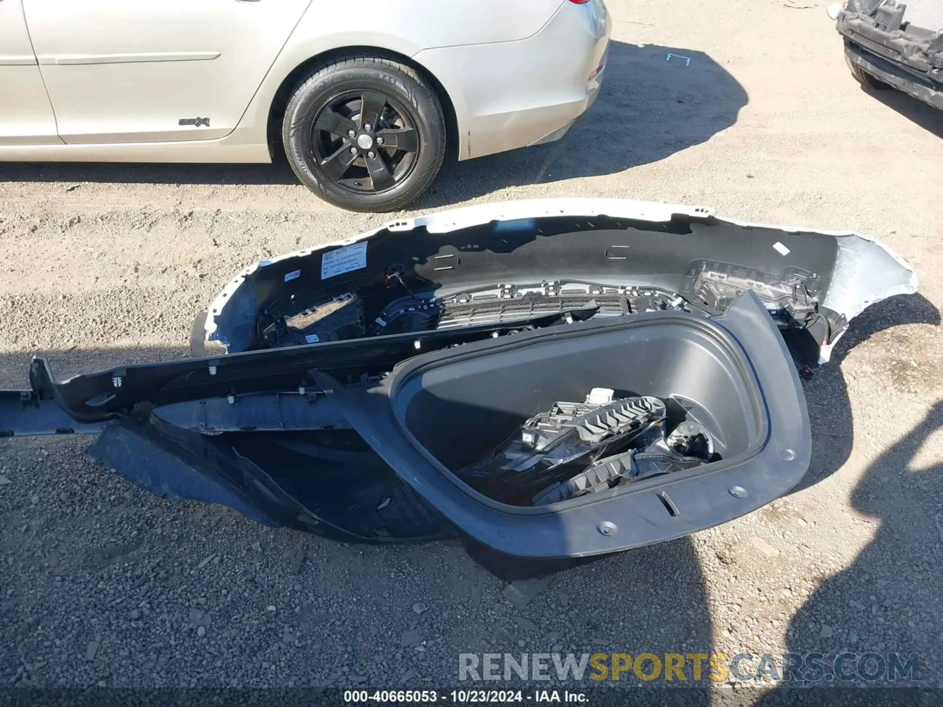12 fotografías del automóvil dañado 7SAYGDEF6RA262221 TESLA MODEL Y 2024