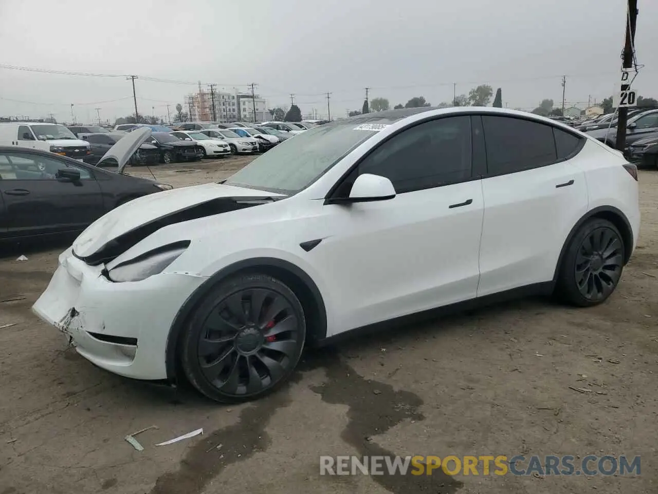 1 fotografías del automóvil dañado 7SAYGDEF8RF113876 TESLA MODEL Y 2024