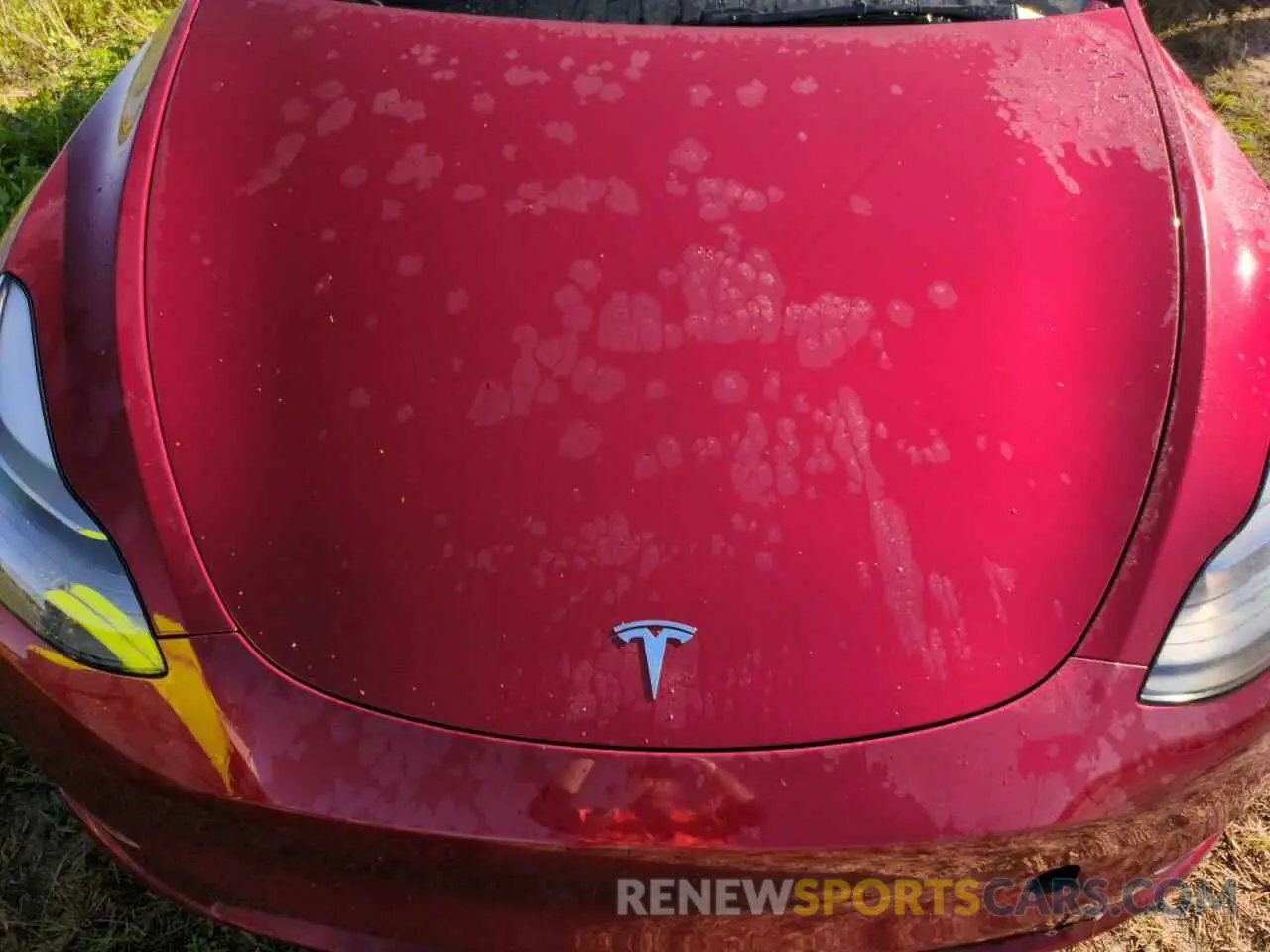12 fotografías del automóvil dañado 7SAYGDEF9RA263606 TESLA MODEL Y 2024