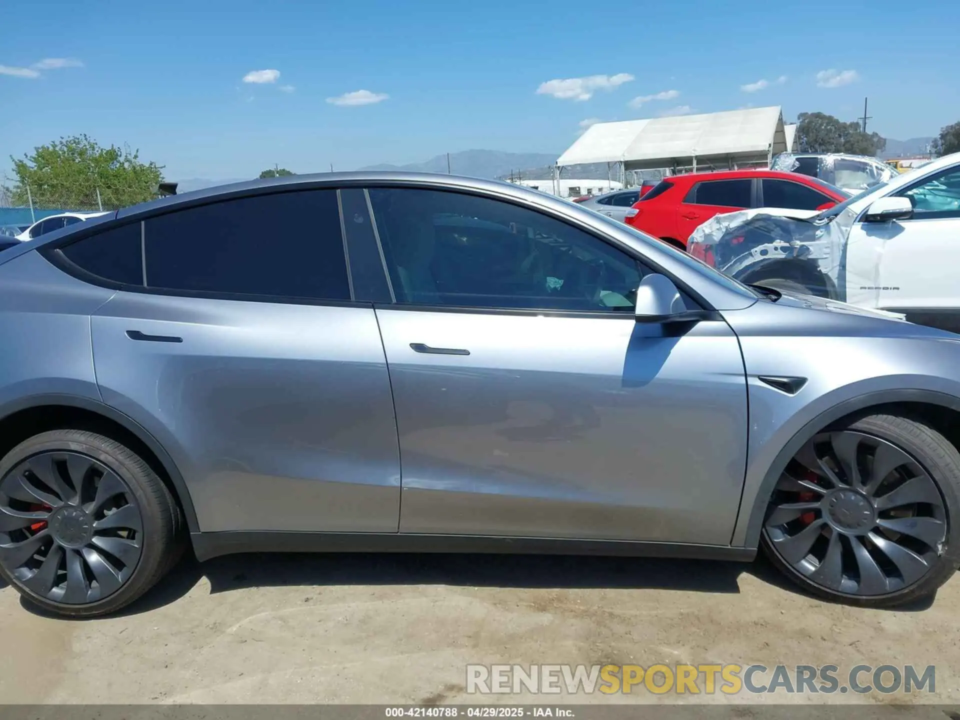12 fotografías del automóvil dañado 7SAYGDEF9RA299036 TESLA MODEL Y 2024