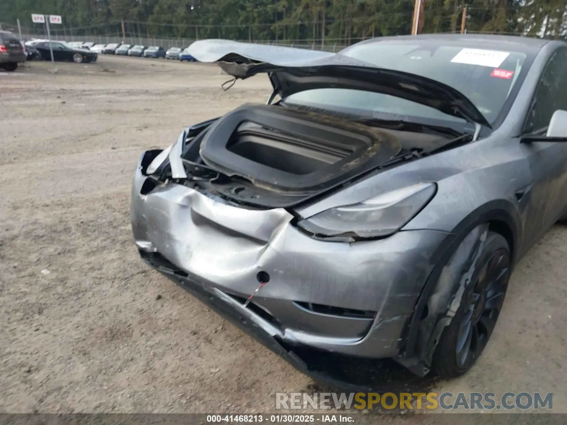 6 fotografías del automóvil dañado 7SAYGDEF9RF109982 TESLA MODEL Y 2024