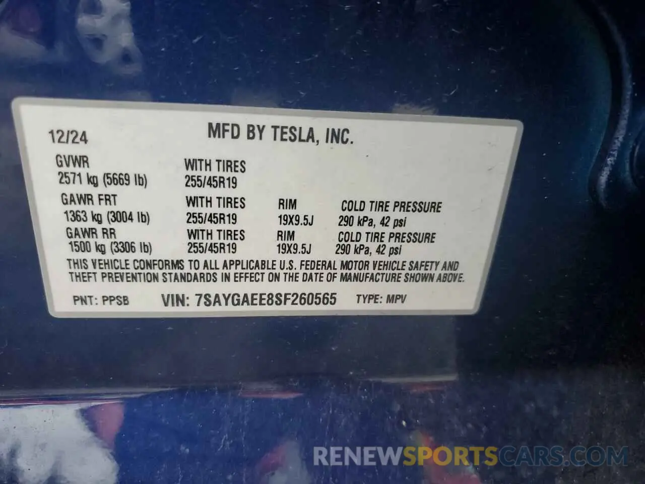 14 fotografías del automóvil dañado 7SAYGAEE8SF260565 TESLA MODEL Y 2025