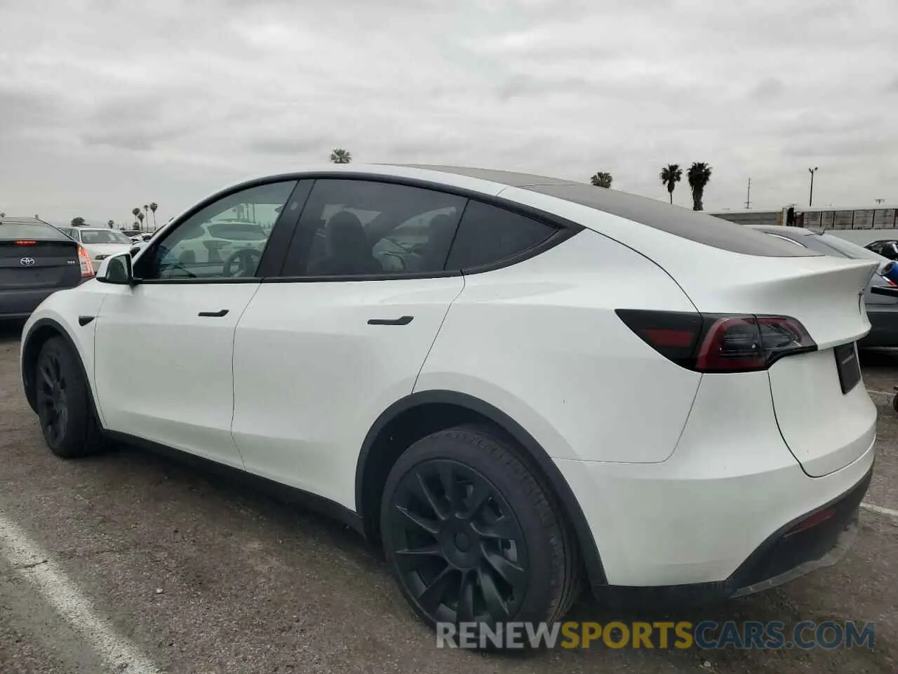 2 fotografías del automóvil dañado 7SAYGDED5SF228228 TESLA MODEL Y 2025