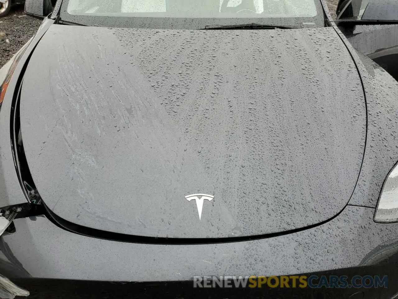12 fotografías del automóvil dañado 7SAYGDEE1SA353779 TESLA MODEL Y 2025