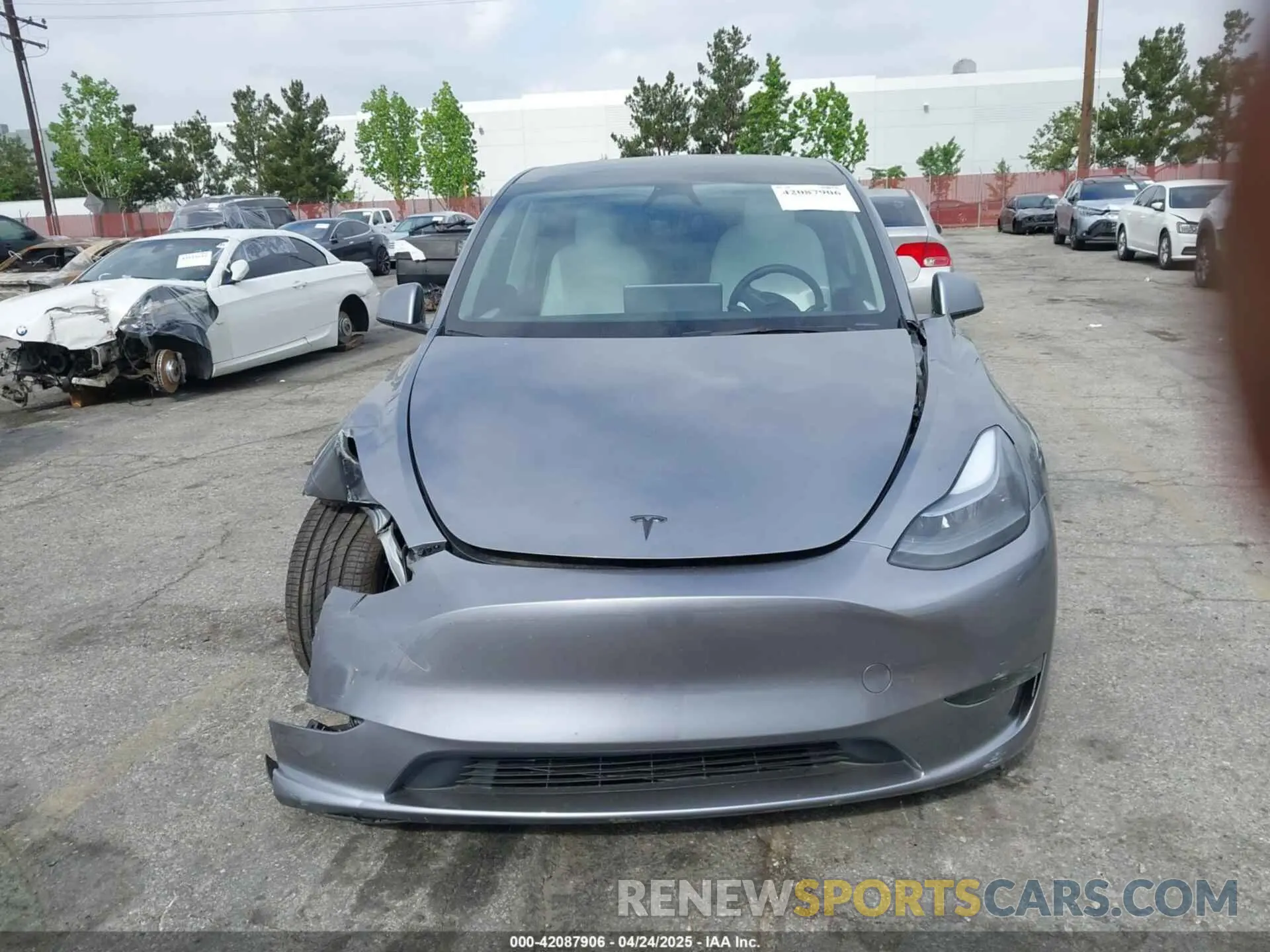 12 fotografías del automóvil dañado 7SAYGDEE7SF247212 TESLA MODEL Y 2025