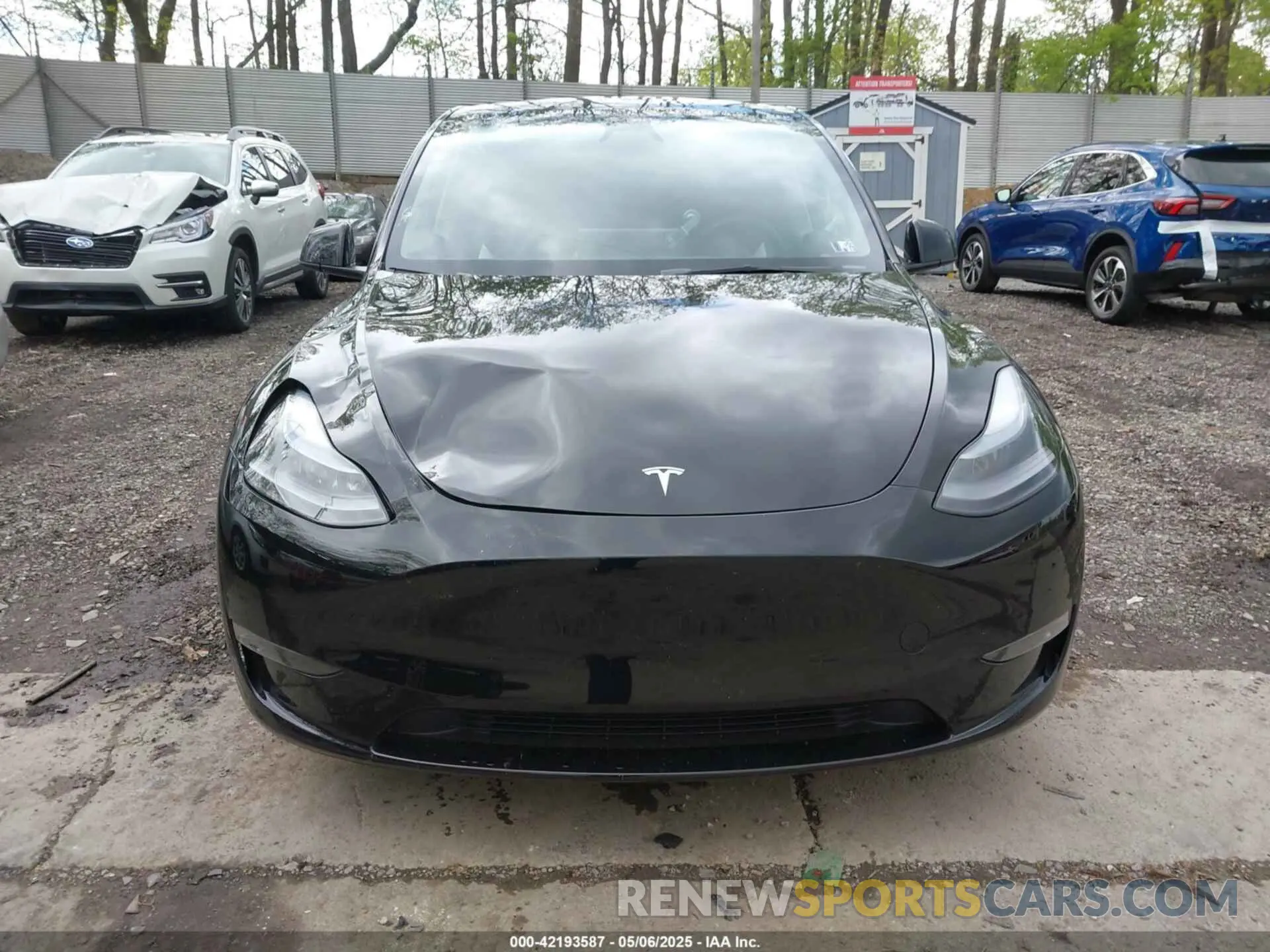 12 fotografías del automóvil dañado 7SAYGDEE9SA367039 TESLA MODEL Y 2025