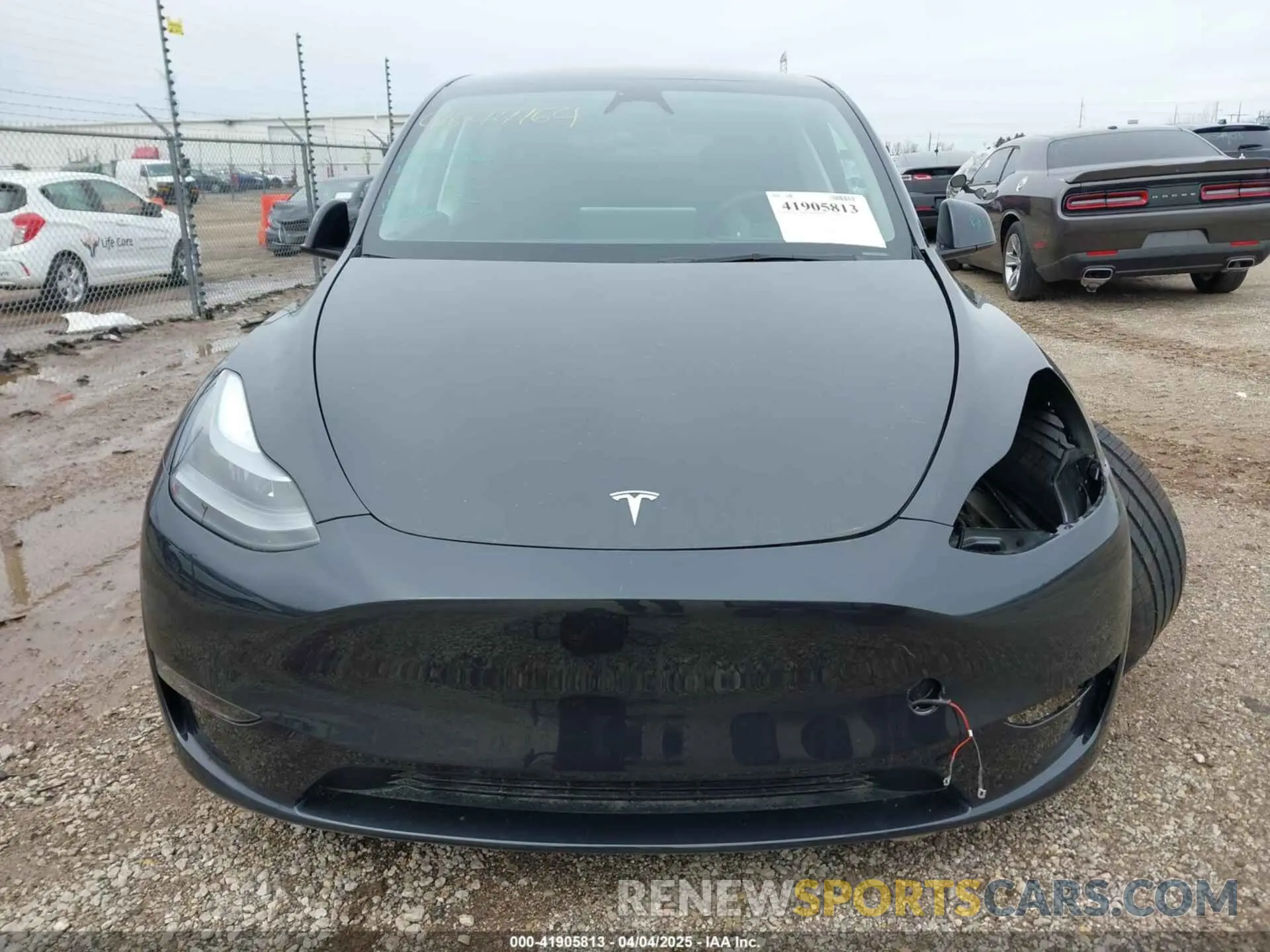 13 fotografías del automóvil dañado 7SAYGDEEXSF266143 TESLA MODEL Y 2025