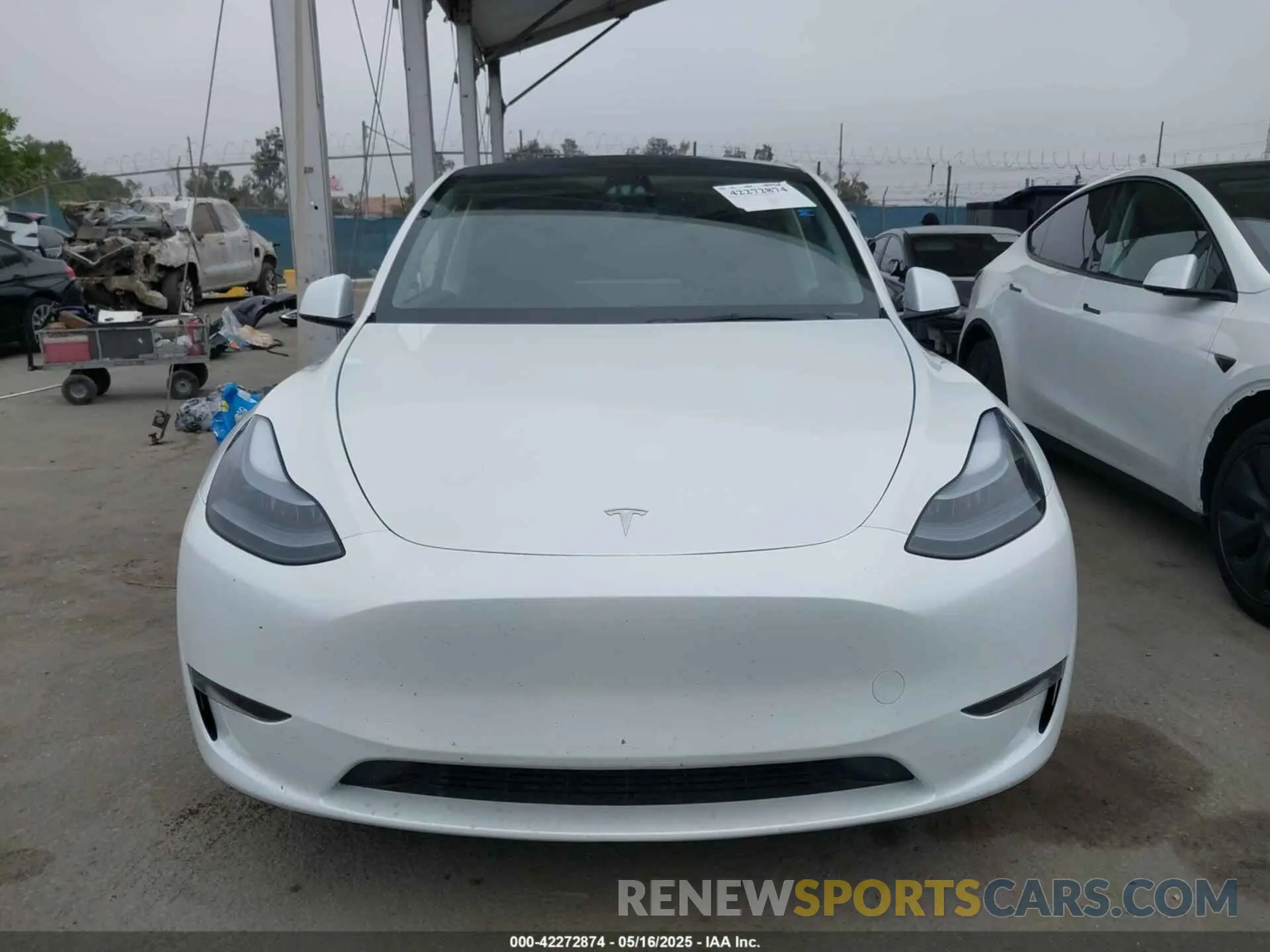 12 fotografías del automóvil dañado 7SAYGDEF3SF245577 TESLA MODEL Y 2025