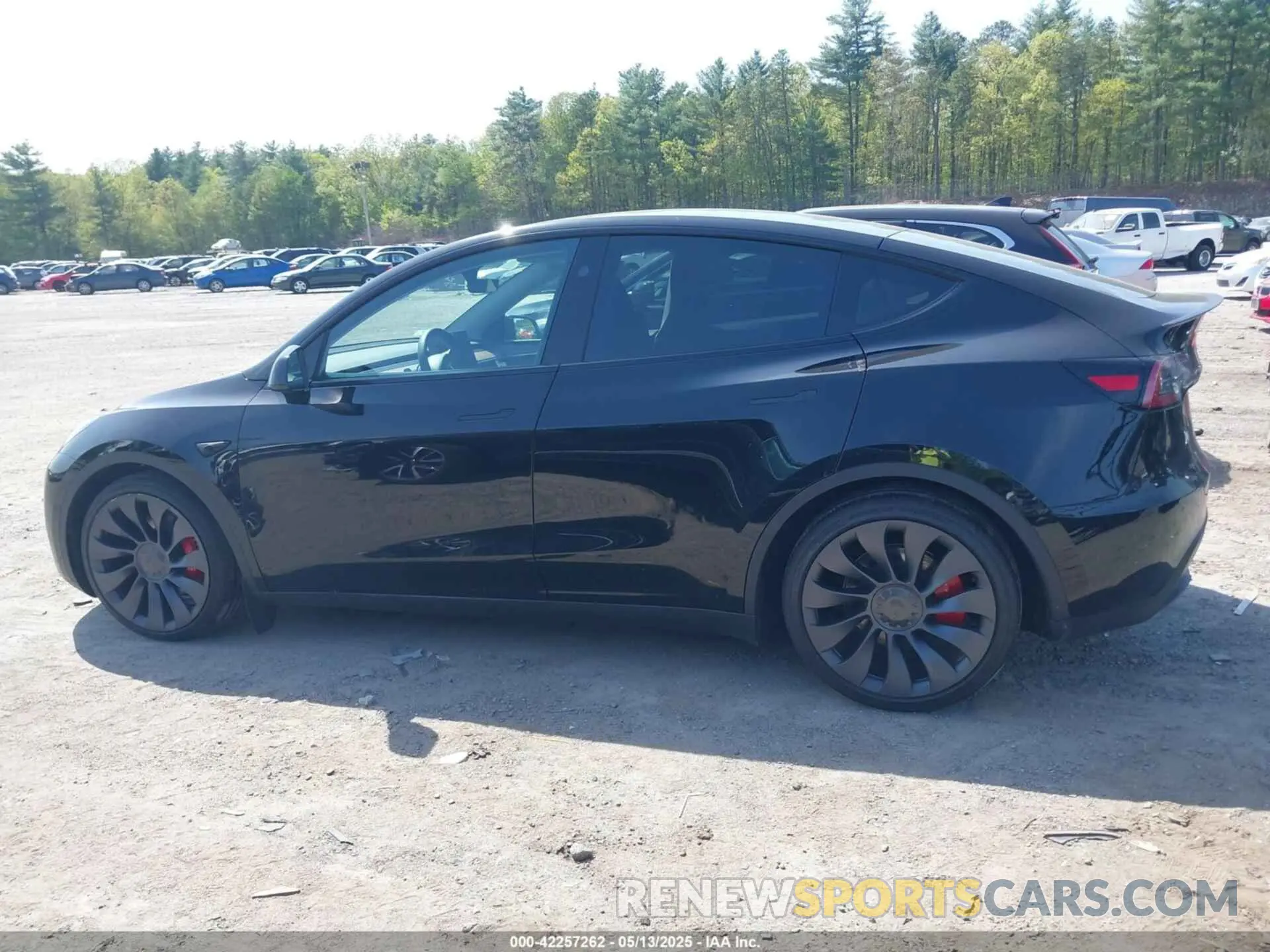 14 fotografías del automóvil dañado 7SAYGDEFXSF309548 TESLA MODEL Y 2025