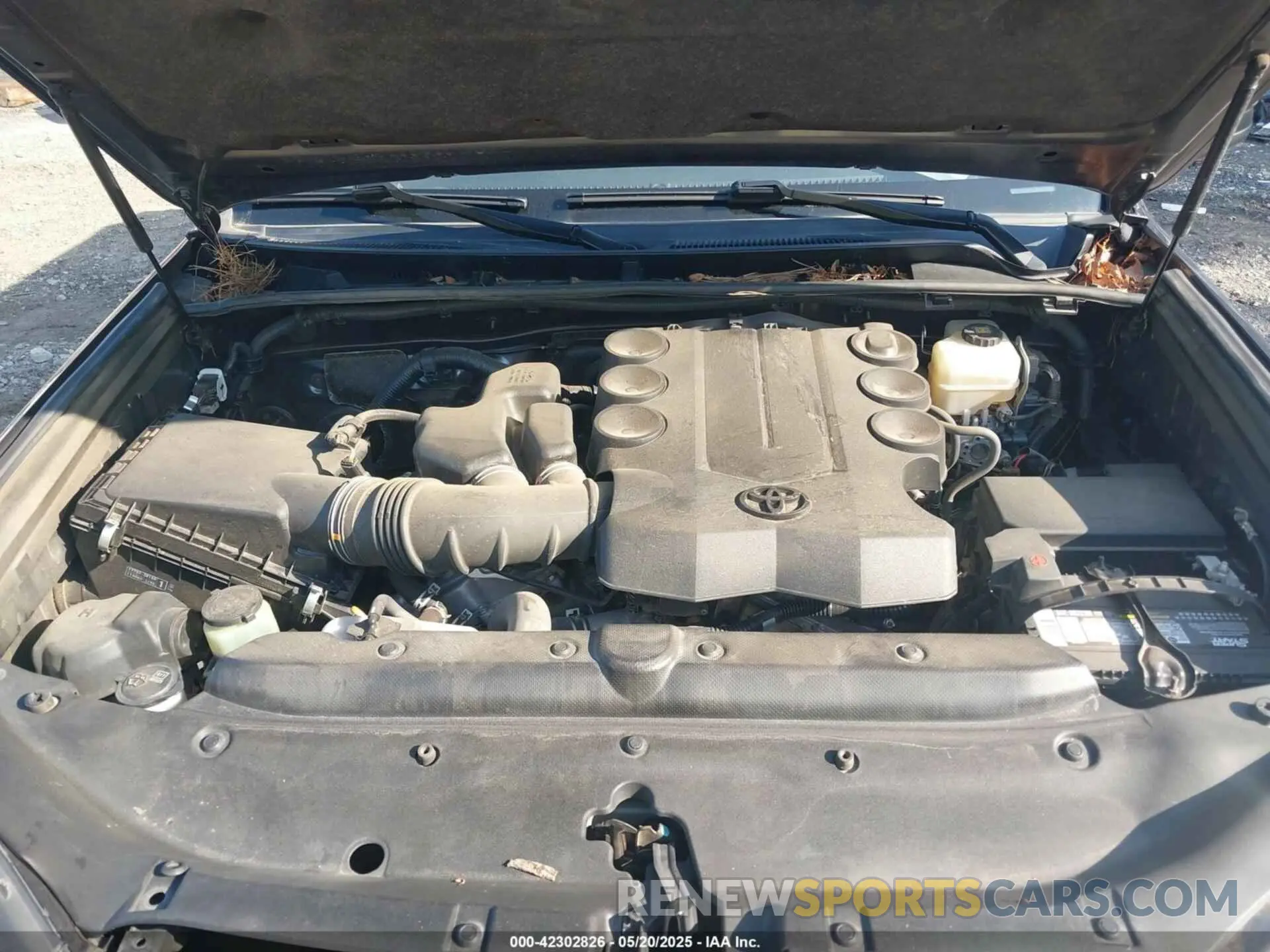 10 fotografías del automóvil dañado JTEBU5JR4K5655481 TOYOTA 4RUNNER 2019
