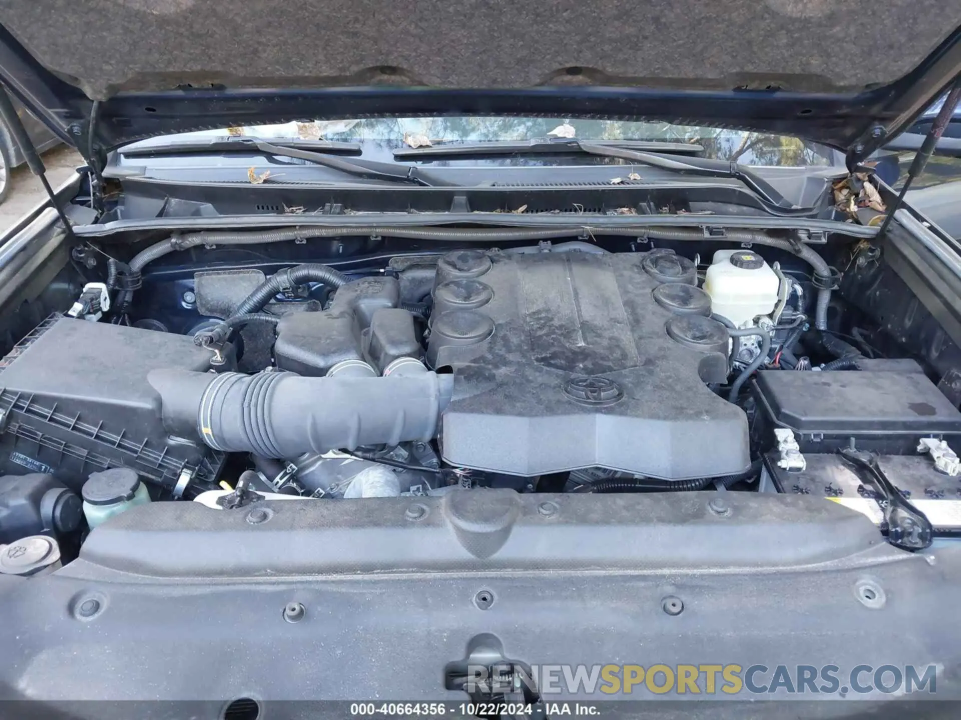 10 fotografías del automóvil dañado JTEBU5JR4K5694023 TOYOTA 4RUNNER 2019