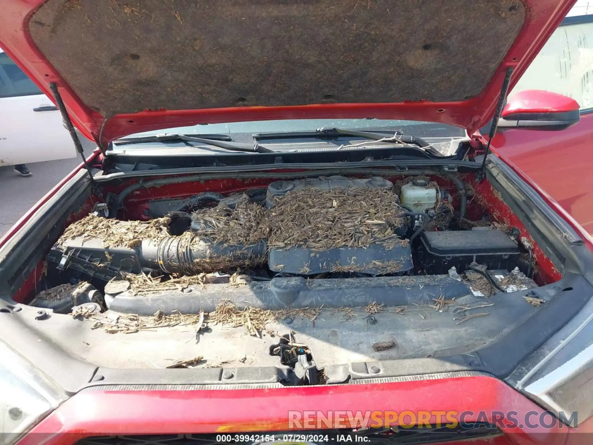10 fotografías del automóvil dañado JTEBU5JR6K5649407 TOYOTA 4RUNNER 2019