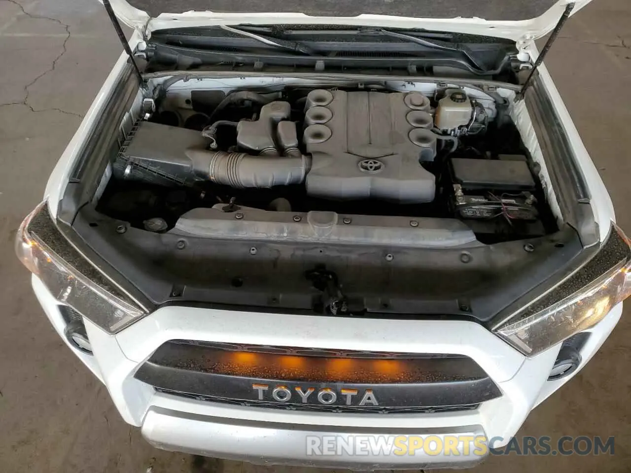 11 fotografías del automóvil dañado JTEBU5JR9K5670378 TOYOTA 4RUNNER 2019