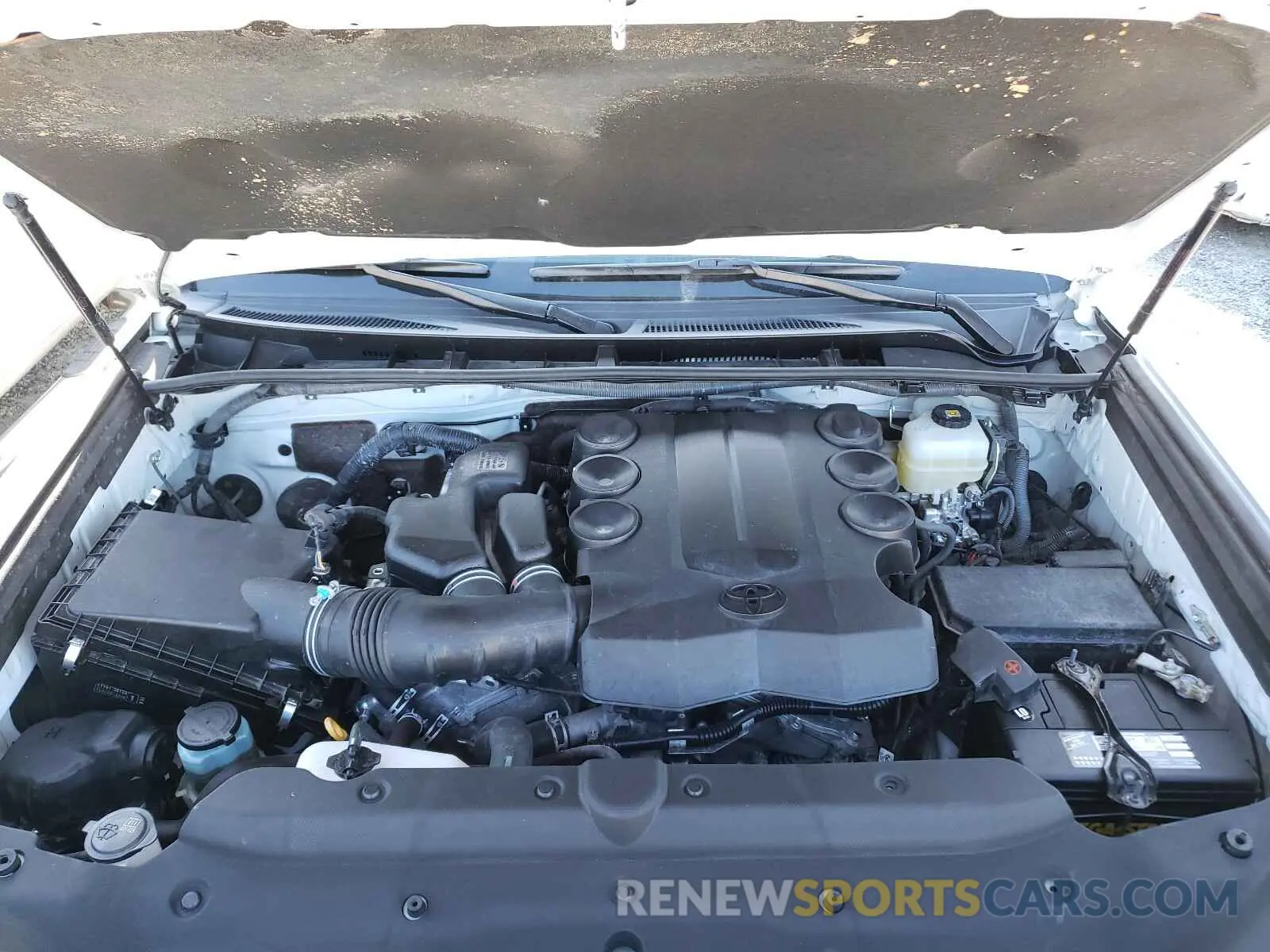 5 fotografías del automóvil dañado JTEBU5JRXK5631461 TOYOTA 4RUNNER 2019