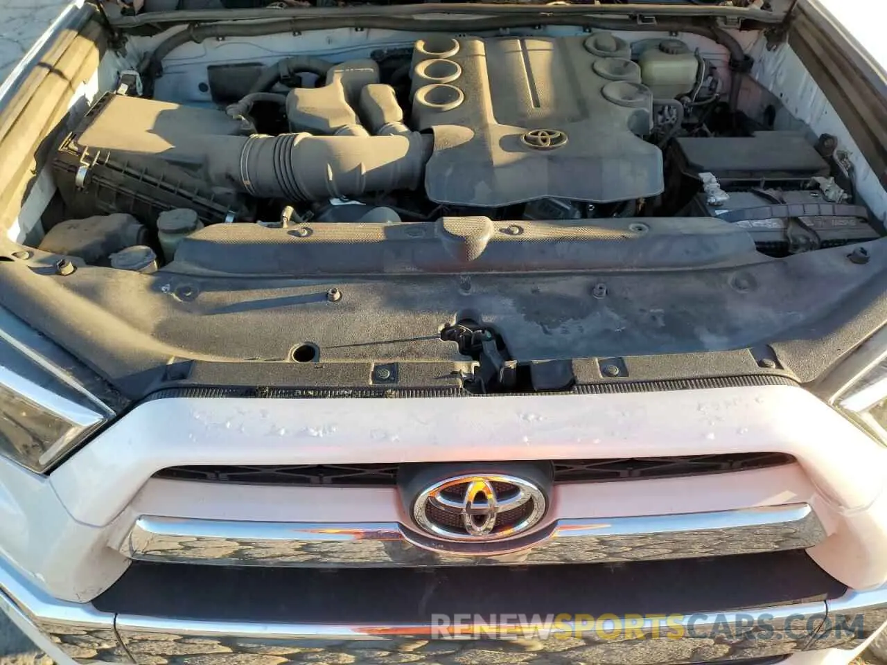 12 fotografías del automóvil dañado JTEBU5JRXK5665464 TOYOTA 4RUNNER 2019