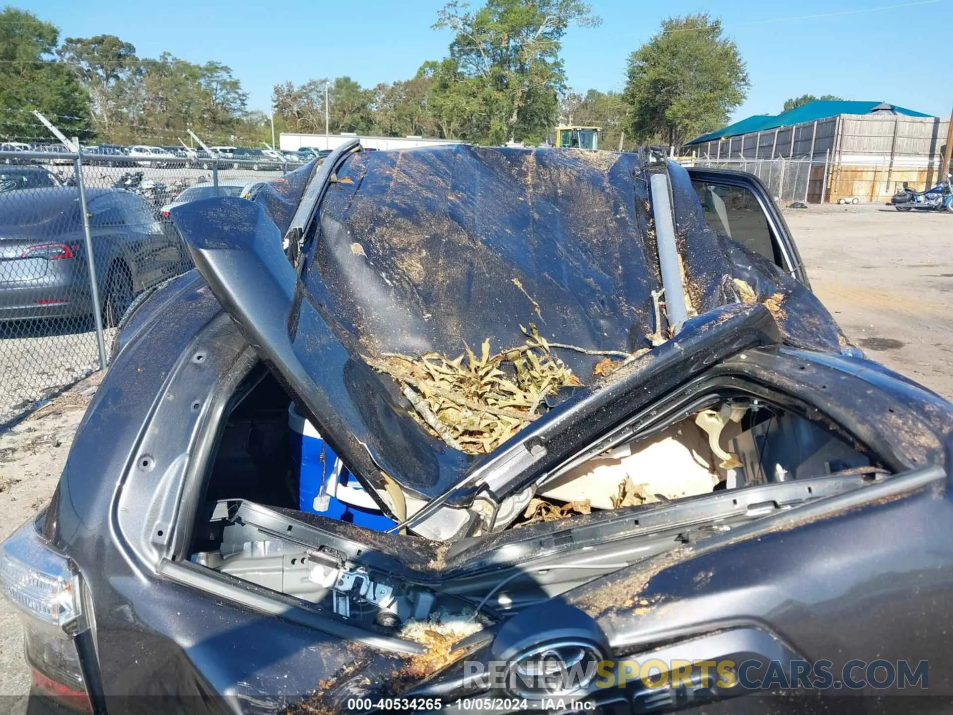 6 fotografías del automóvil dañado JTEMU5JR0M5874062 TOYOTA 4RUNNER 2021