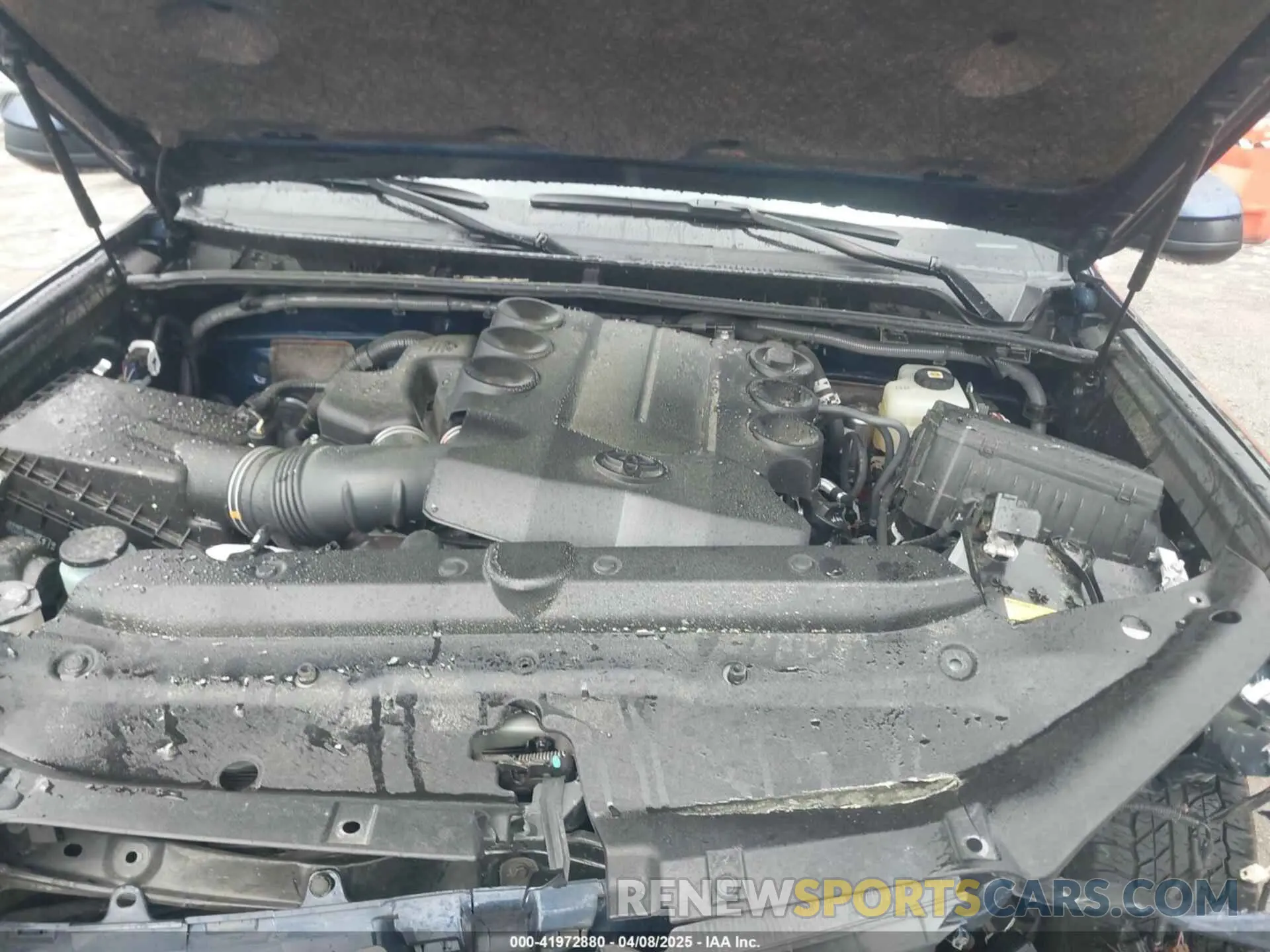 10 fotografías del automóvil dañado JTEMU5JR0N6028851 TOYOTA 4RUNNER 2022